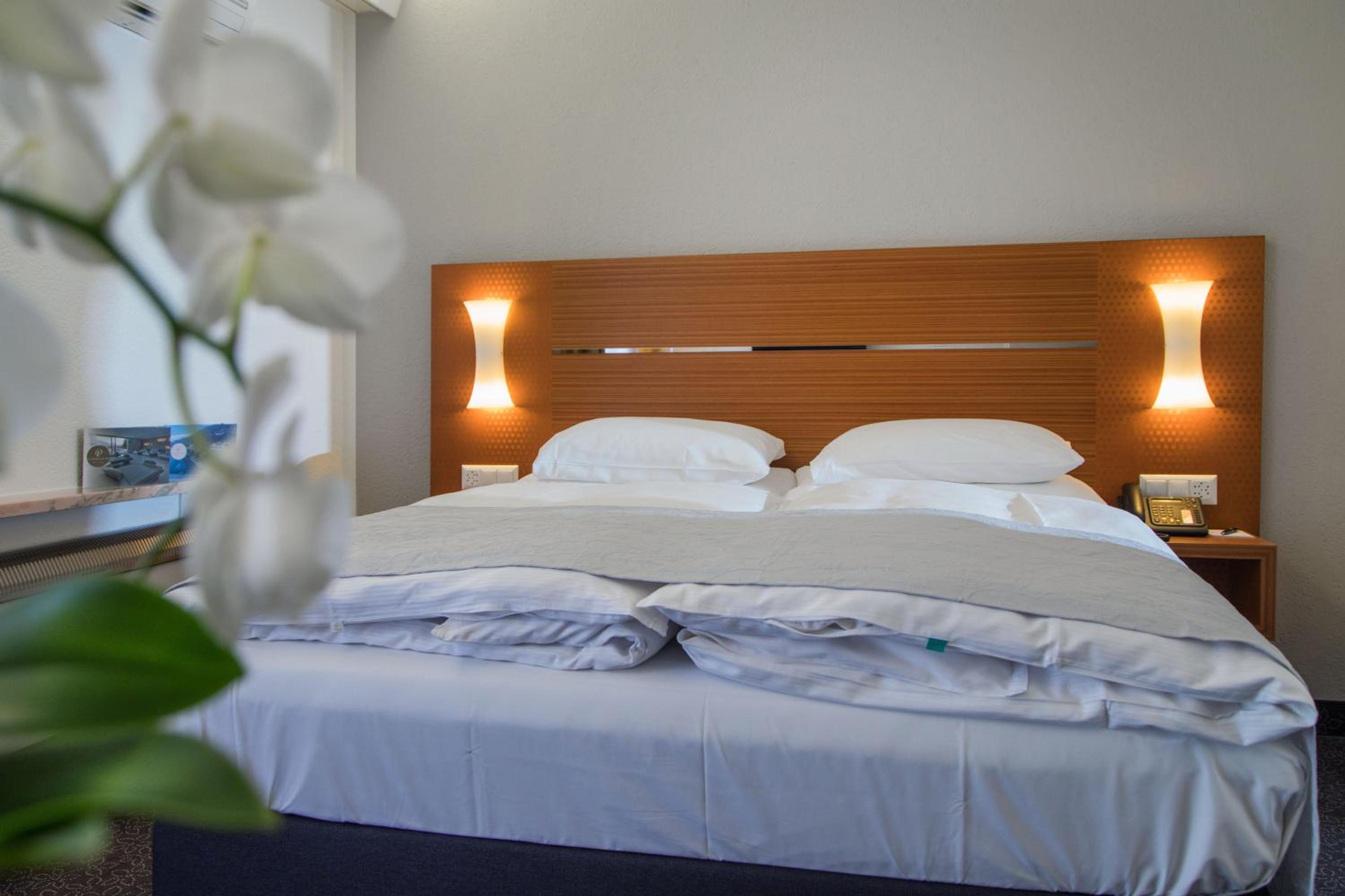 Classic Single Room with Mountain View