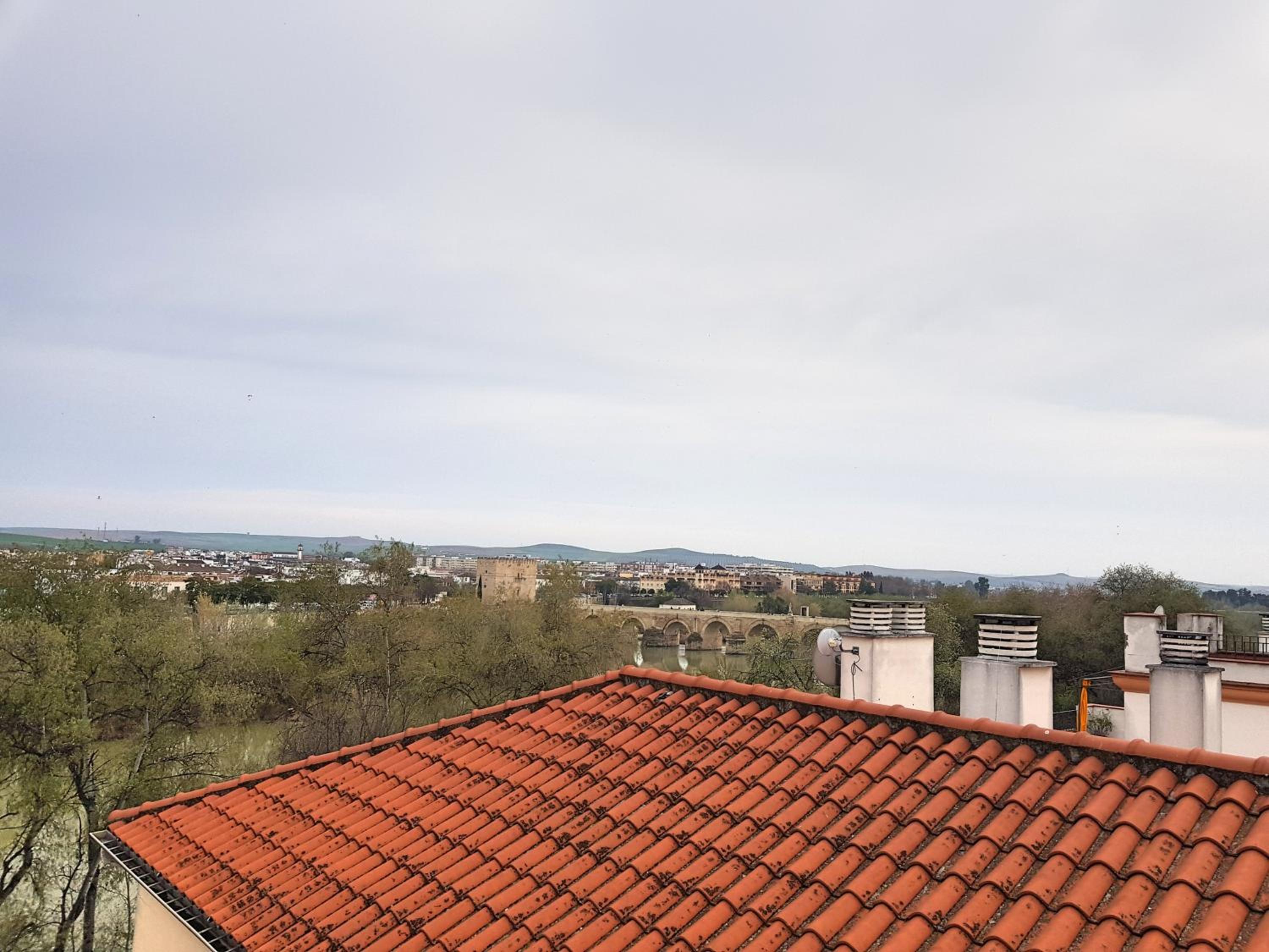 Suite with Terrace - Photo 29