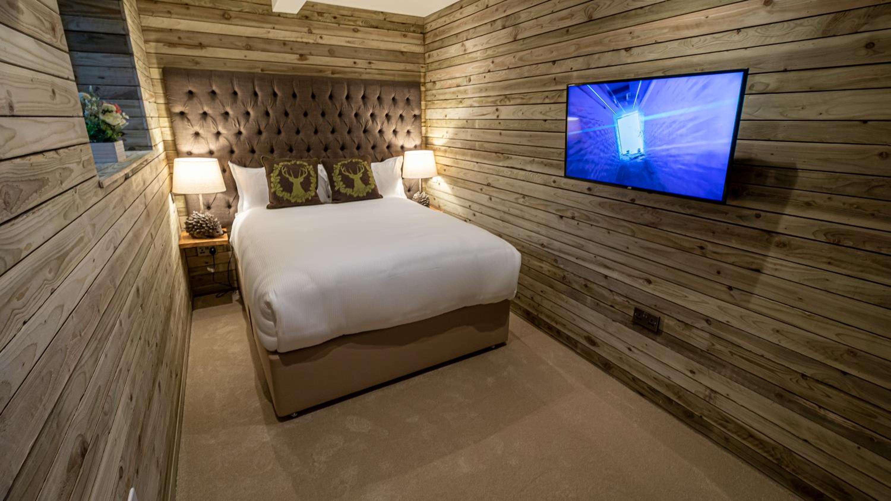 The Tree House - (Two Bedroom Apartment) - Photo 2