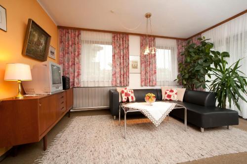 Superior Apartment with Terrace Lake View photo 2