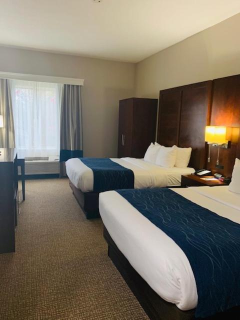 Queen Suite with Two Queen Beds - Non-Smoking photo 2