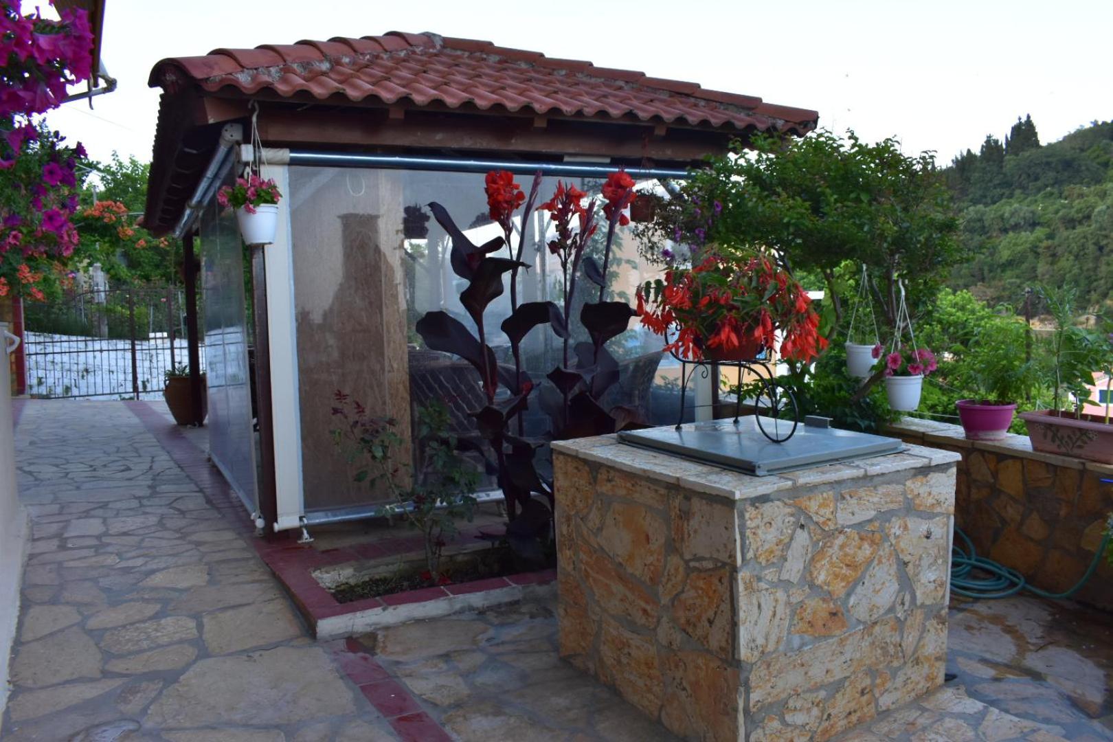 Apartment with Terrace photo 2