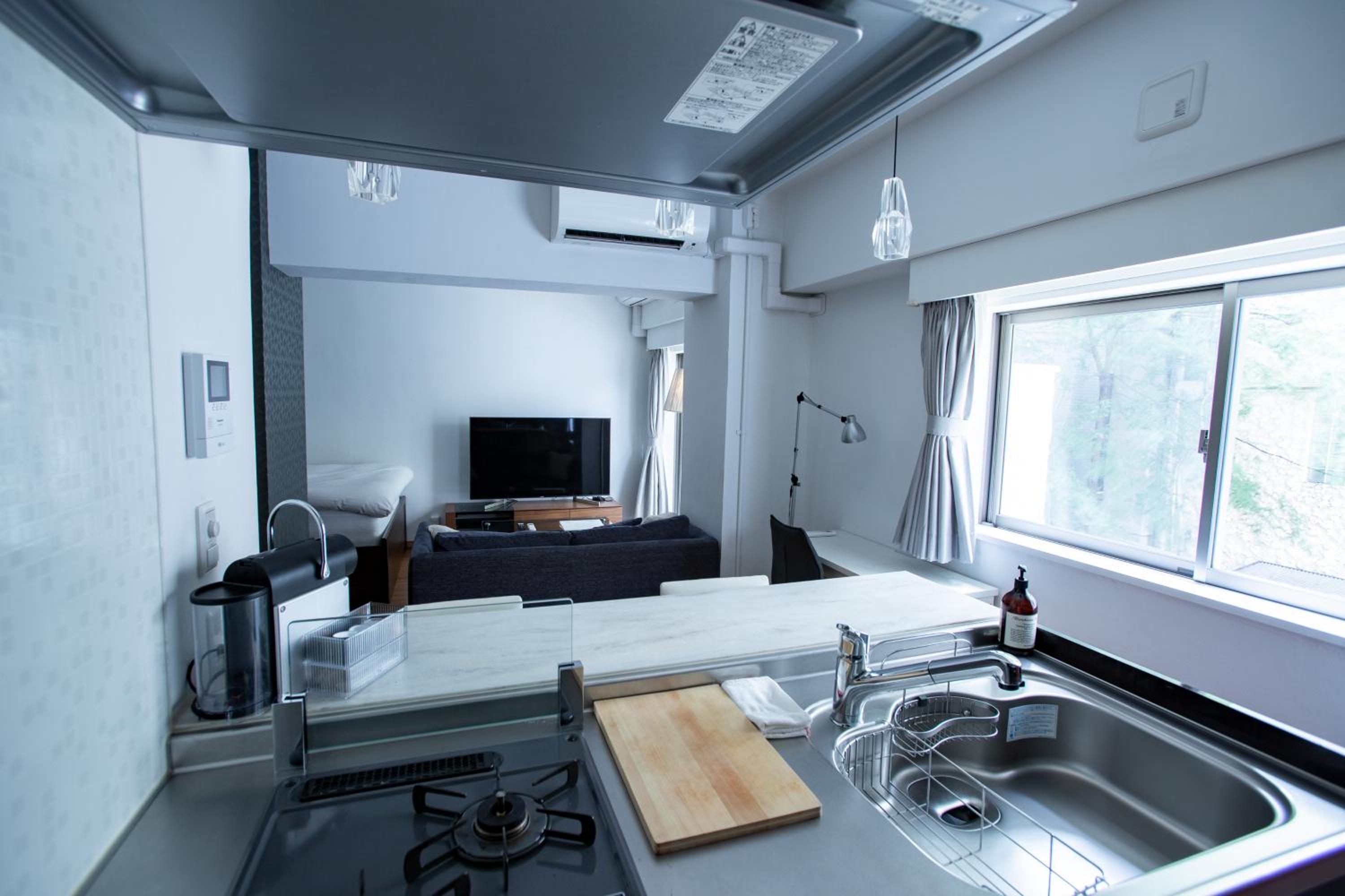 One-Bedroom Apartment photo 3