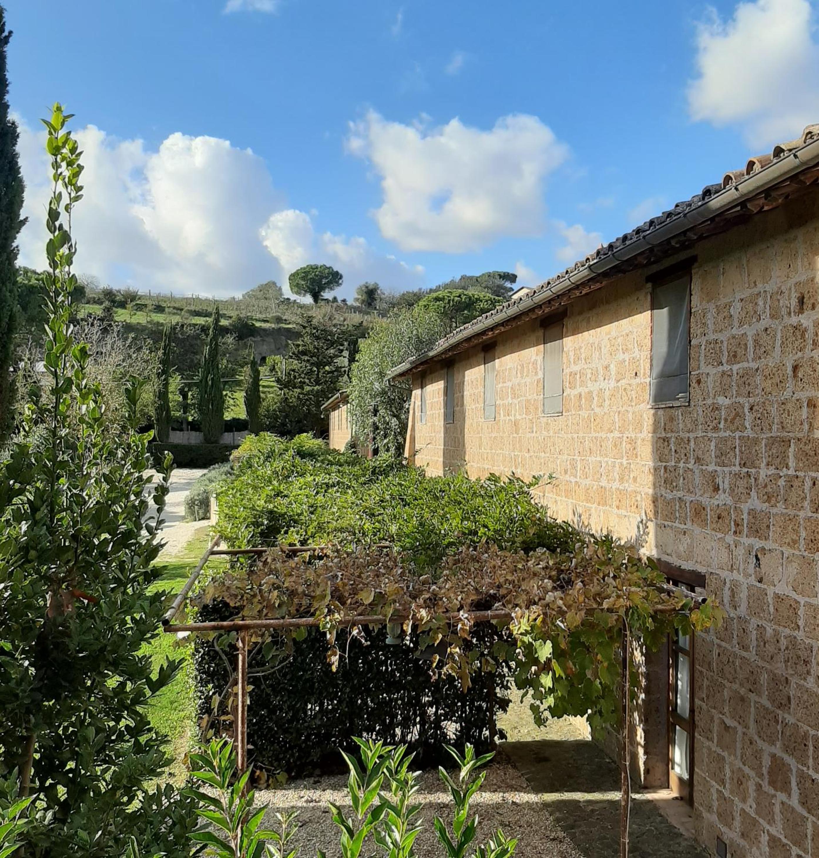 Double Or Twin Room With Patio photo 2