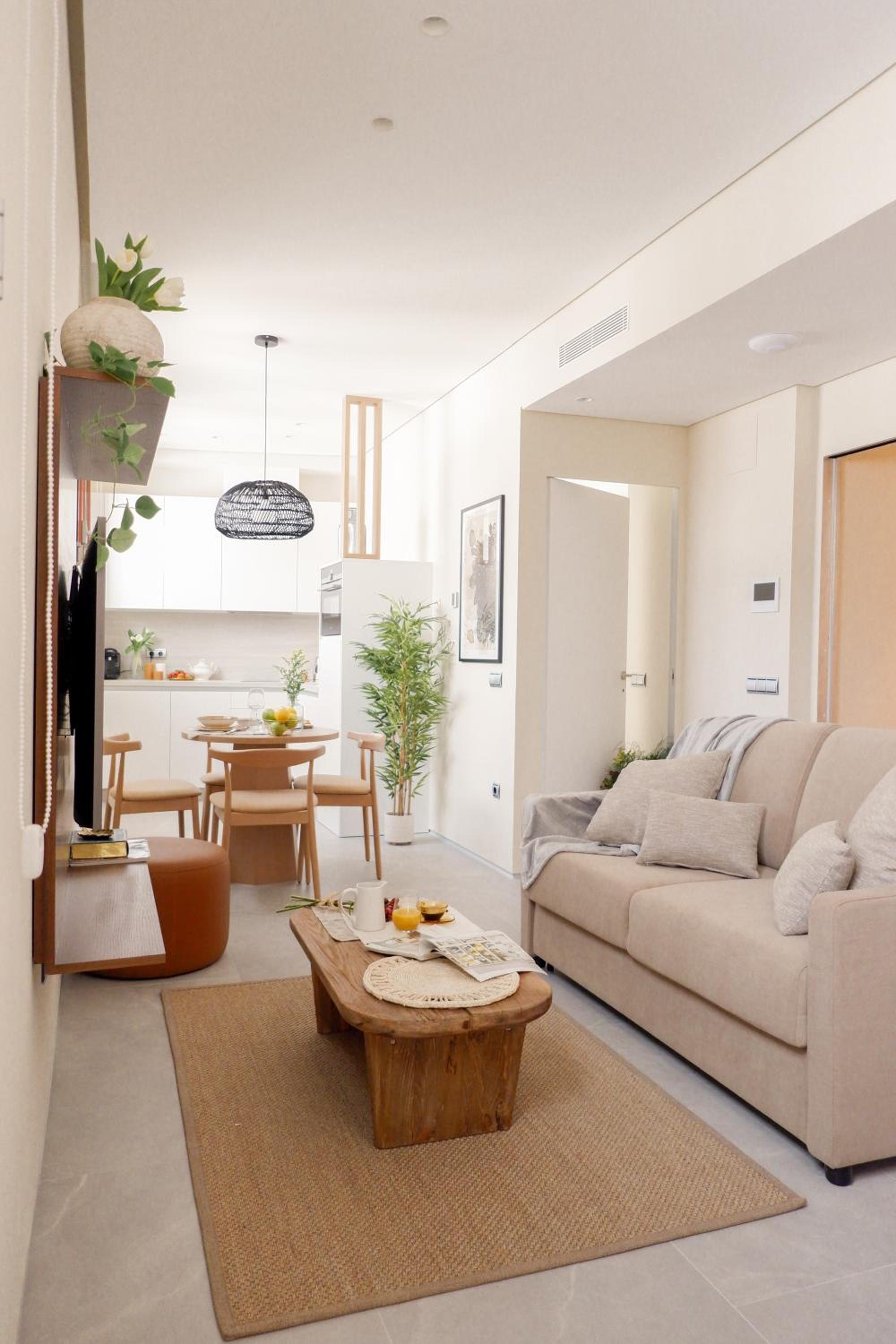 Penthouse Apartment - Photo 7