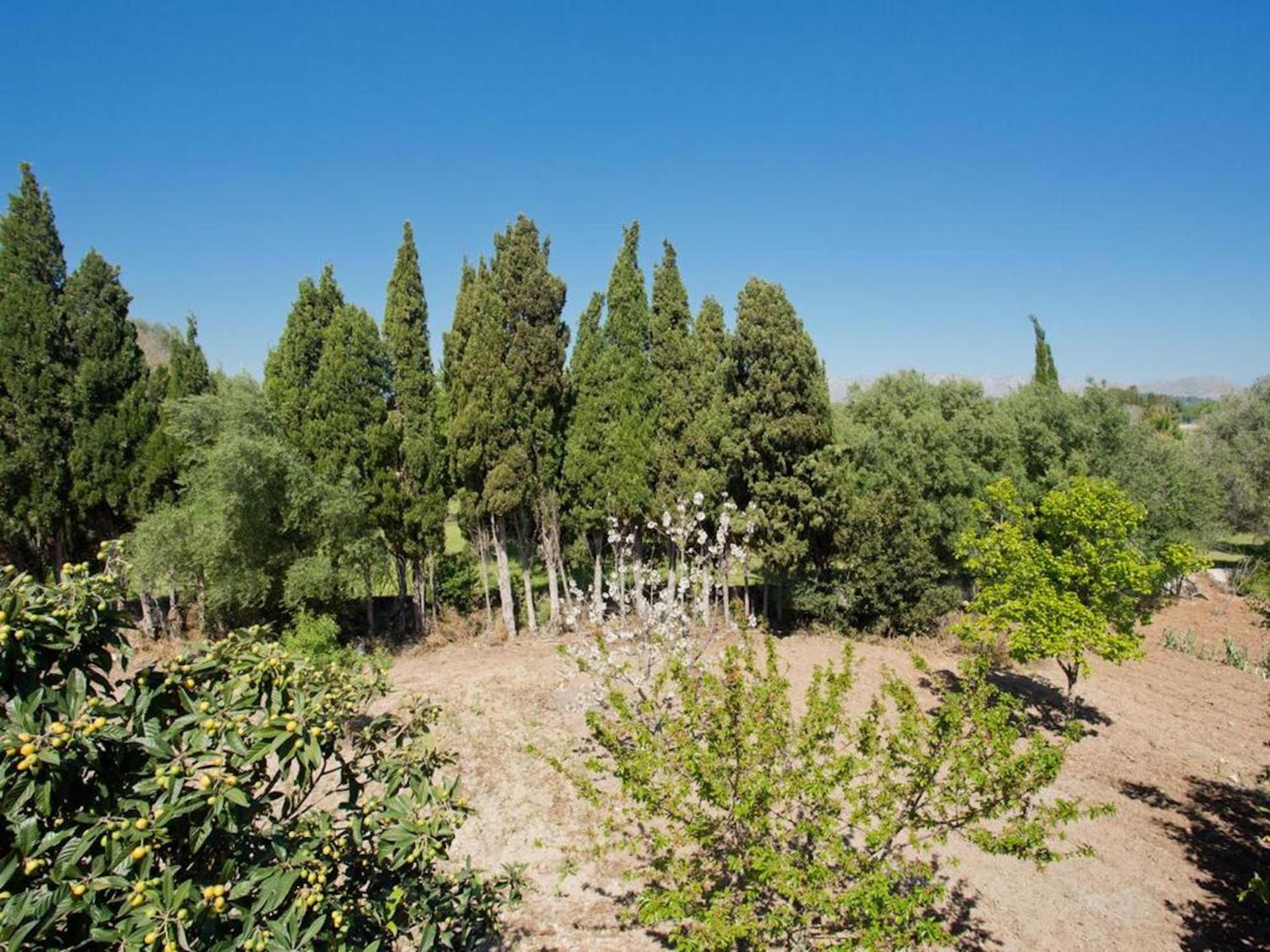 Villa with Garden View - Photo 14