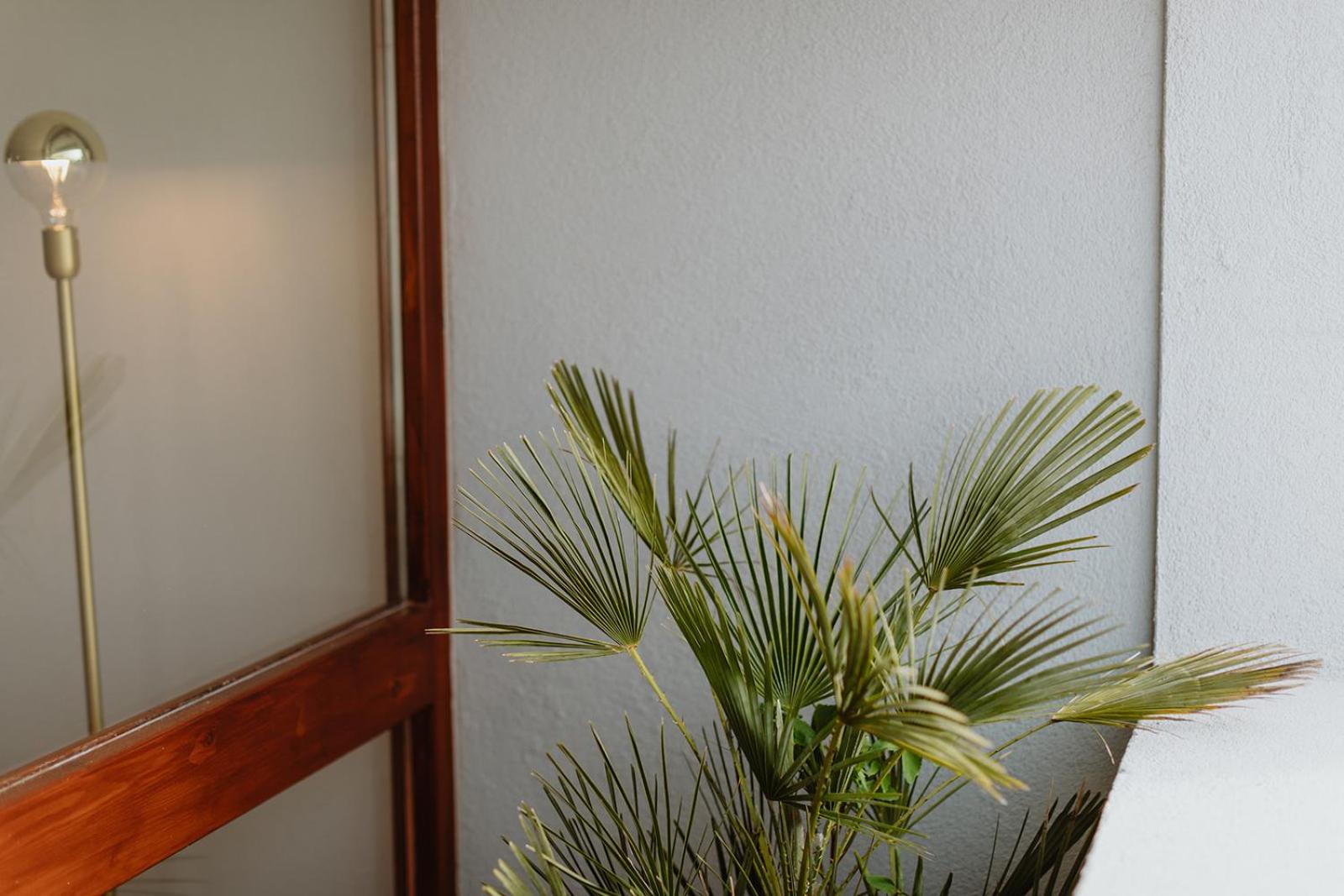 Apartment with Balcony - Photo 13