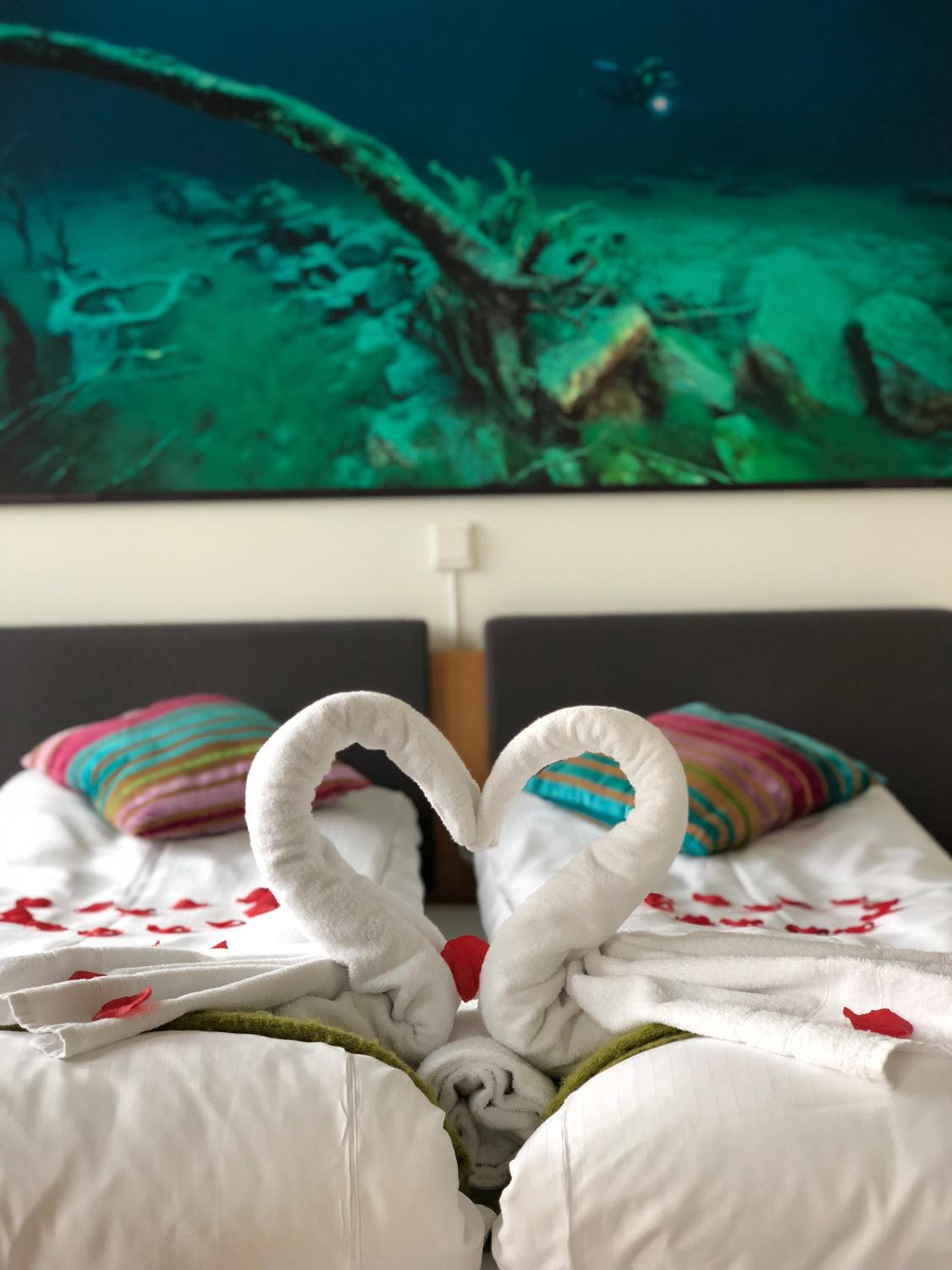 Twin Room - Photo 3