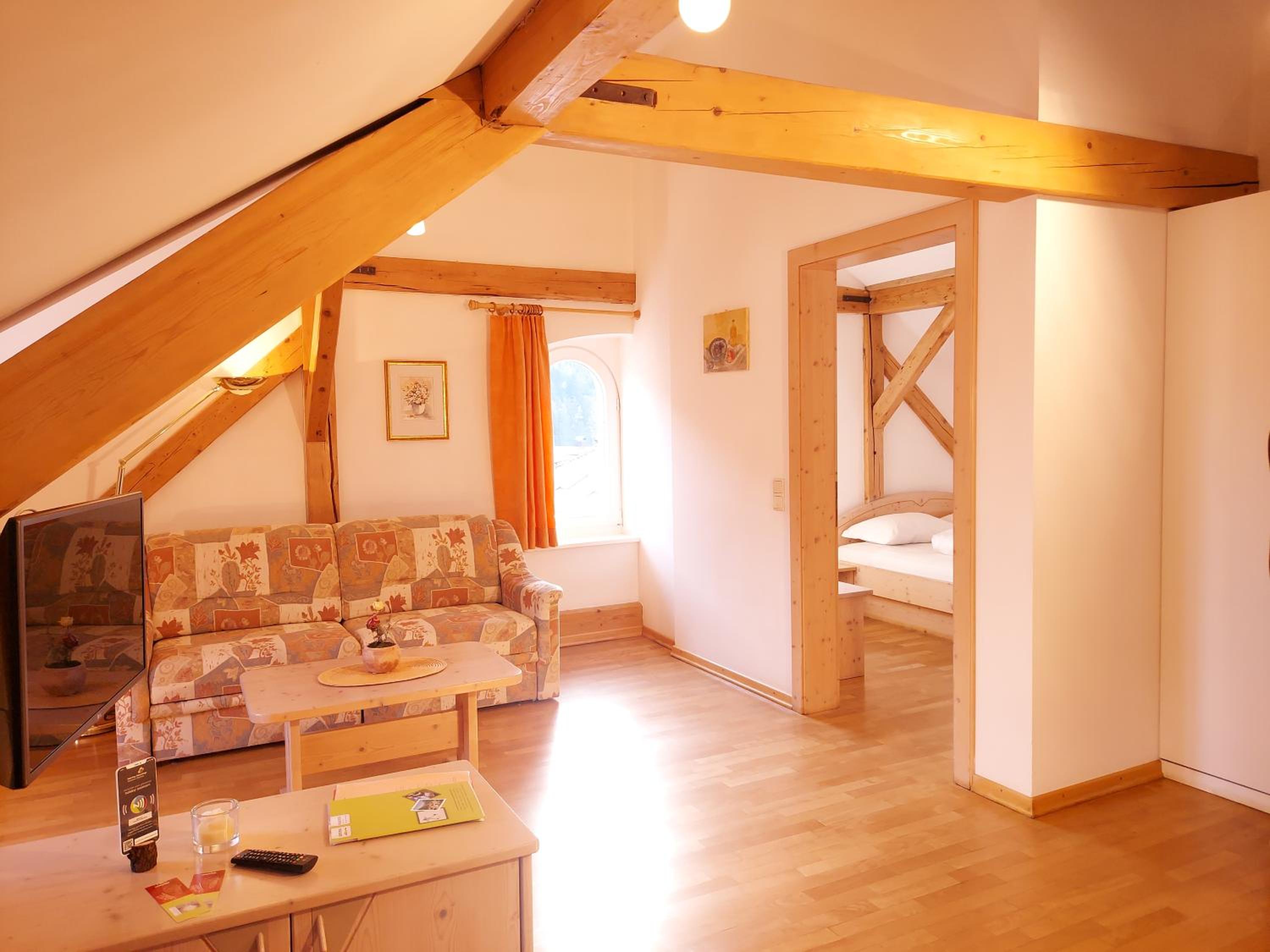 Large One-Bedroom Apartment