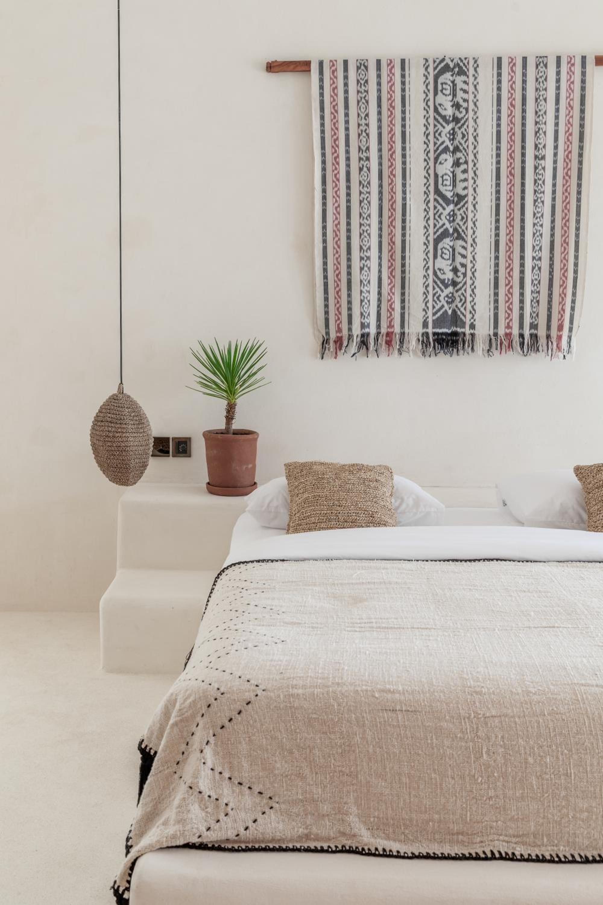 YUCCA 2 - Photo 4