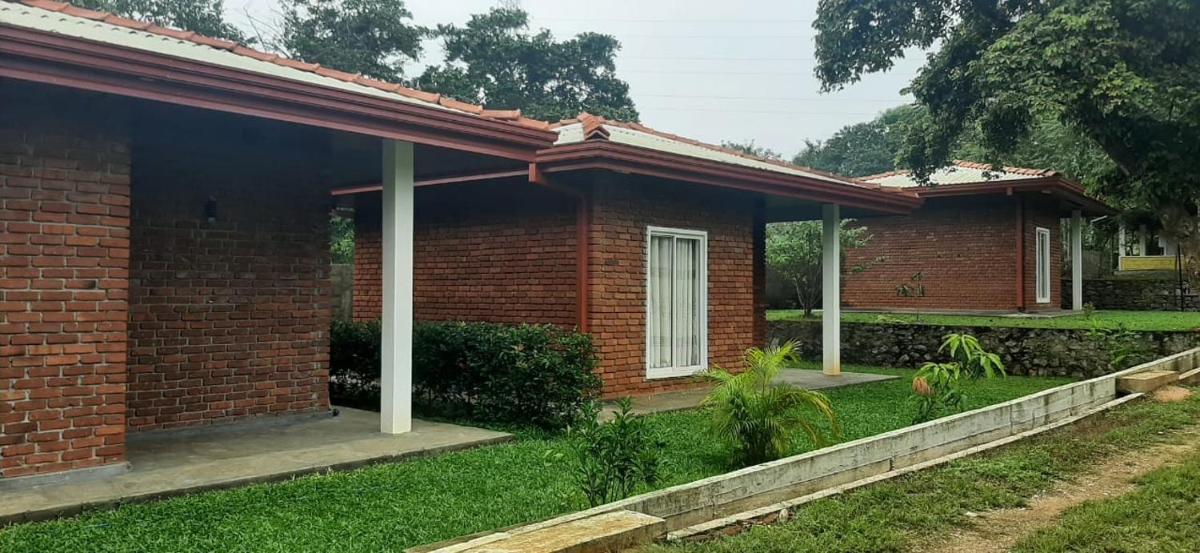 Deluxe Villa photo 1