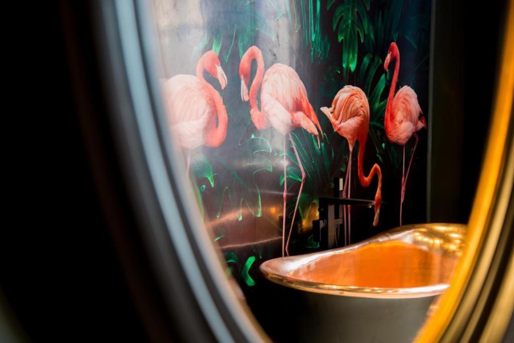 Flamingo - (One Bedroom Apartment) - Photo 9