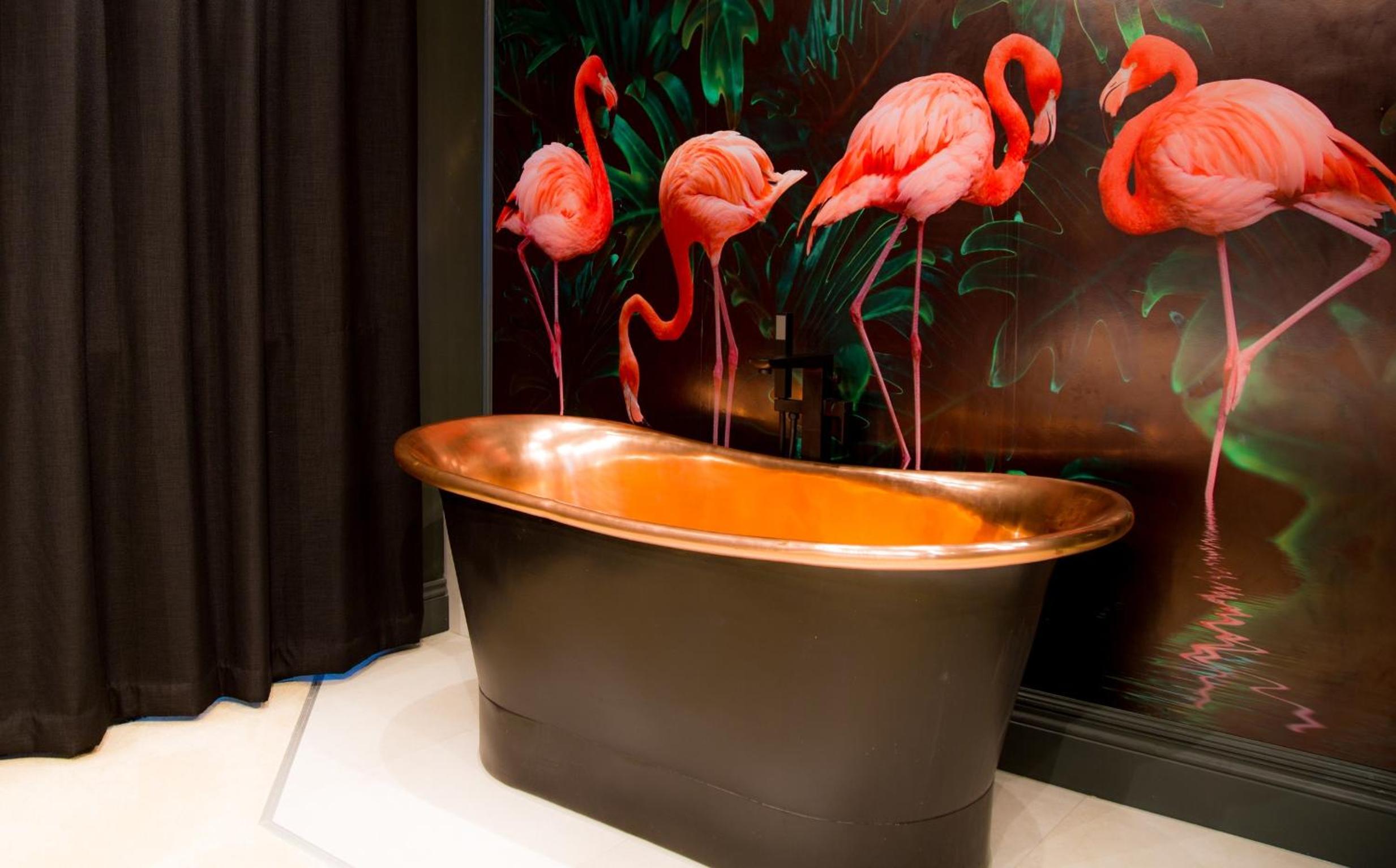 Flamingo - (One Bedroom Apartment) - Photo 7