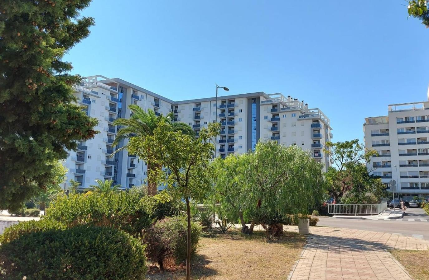 Apartment with Sea View photo 3