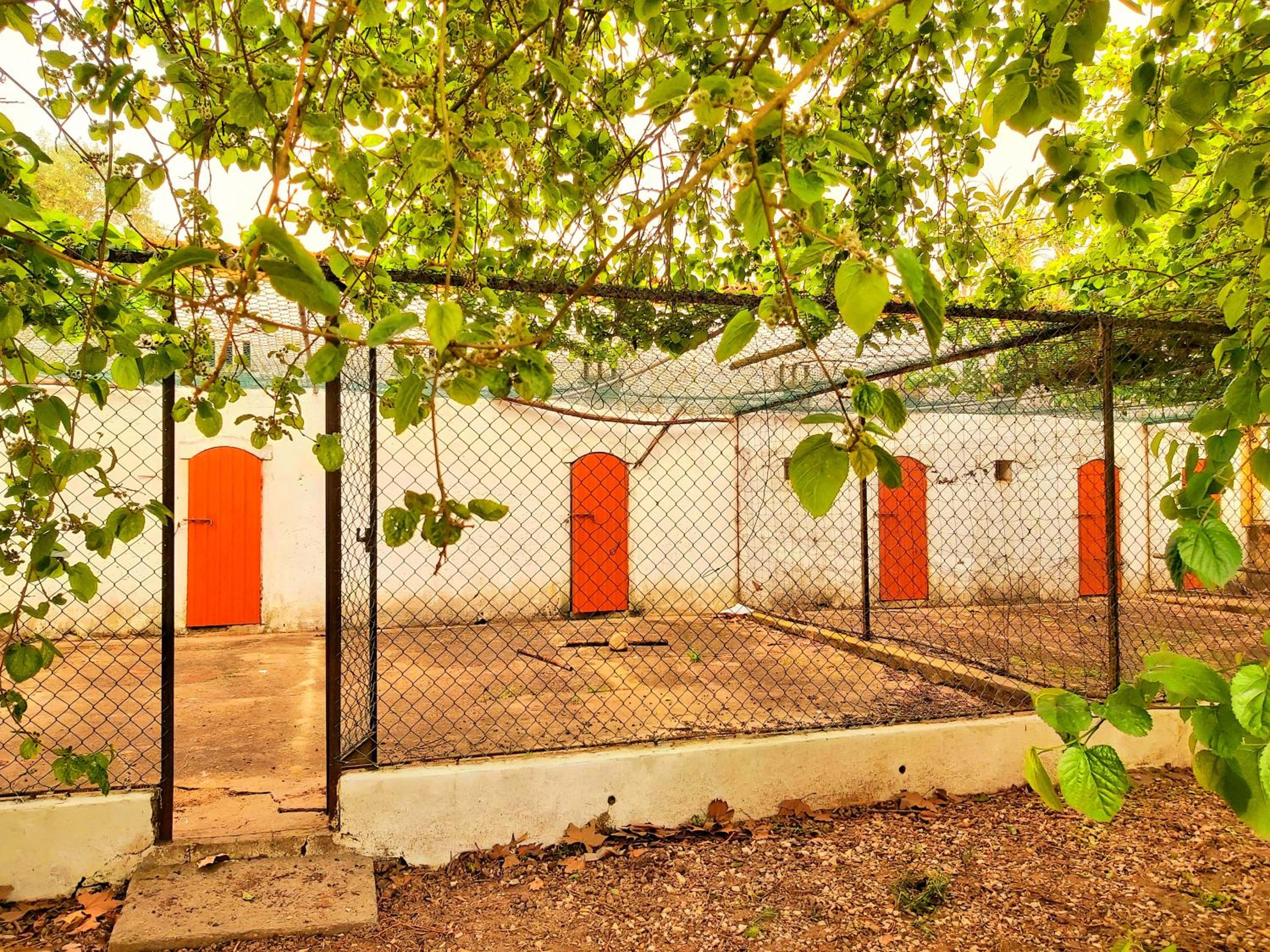 Four-Bedroom House photo 2
