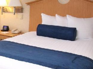 One-Bedroom Suite - Photo 4