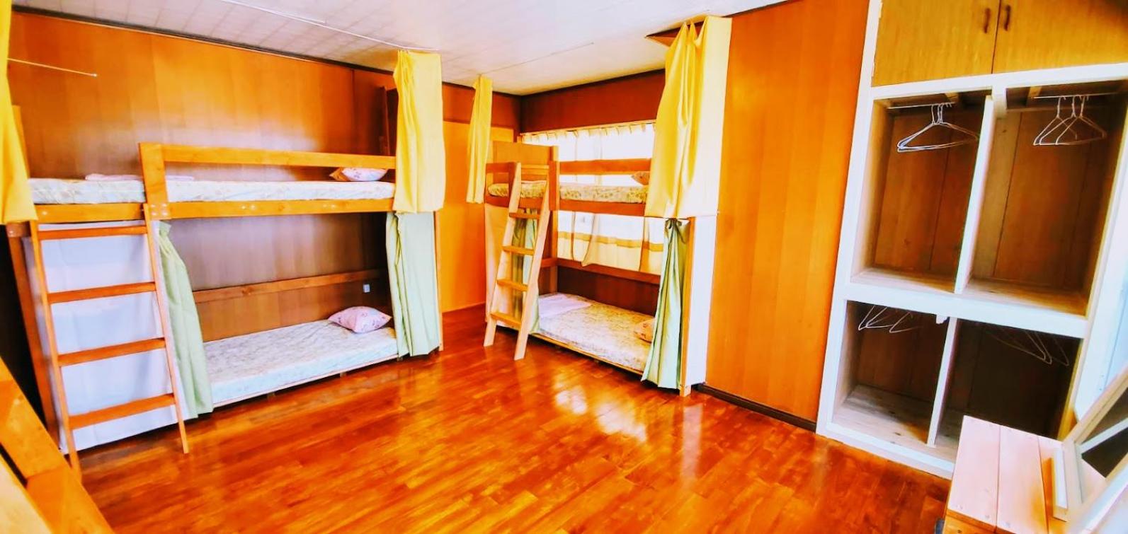 Bunk Bed in 6-Bed Female Dormitory Room photo 2