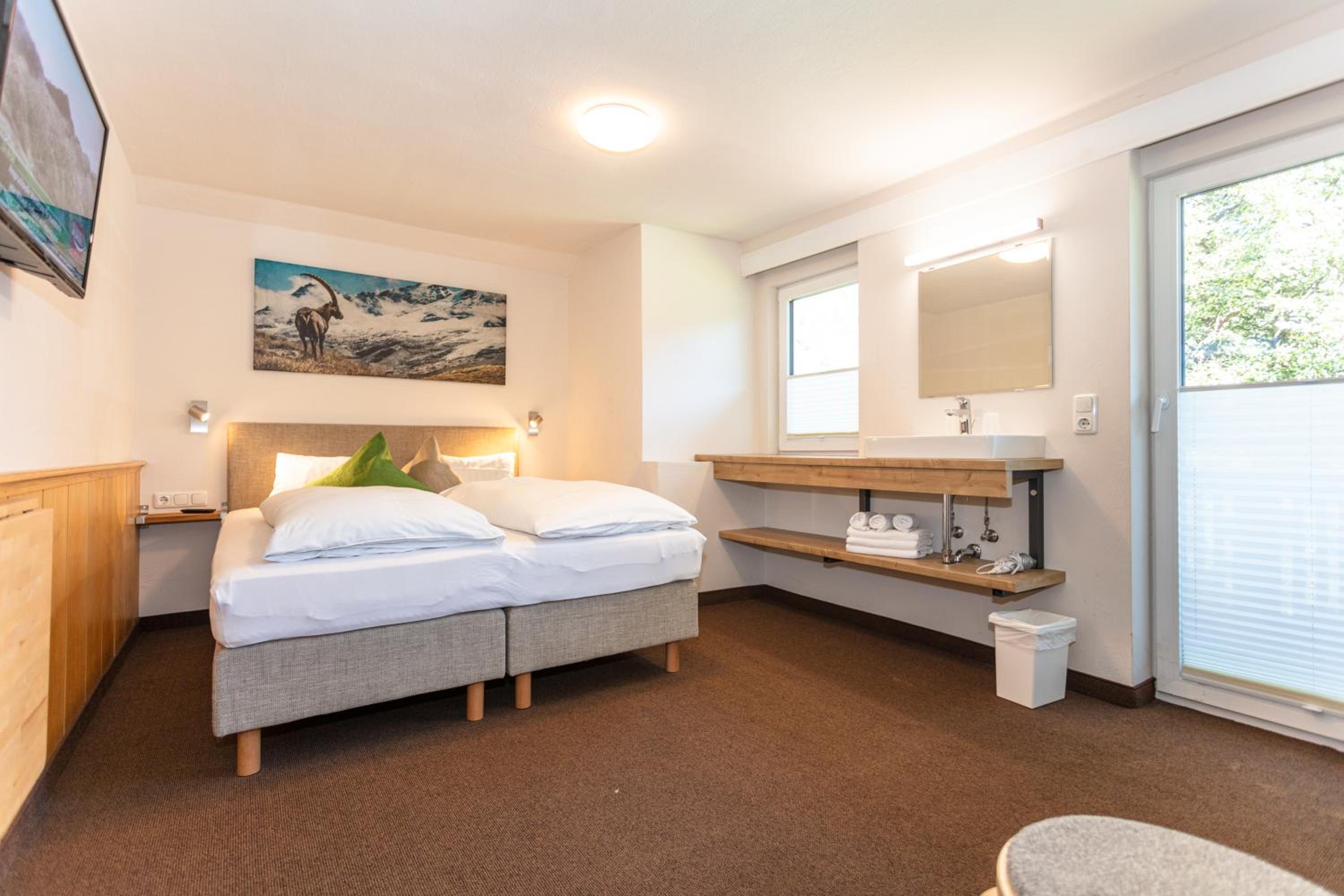 Double Room with Mountain View photo 1