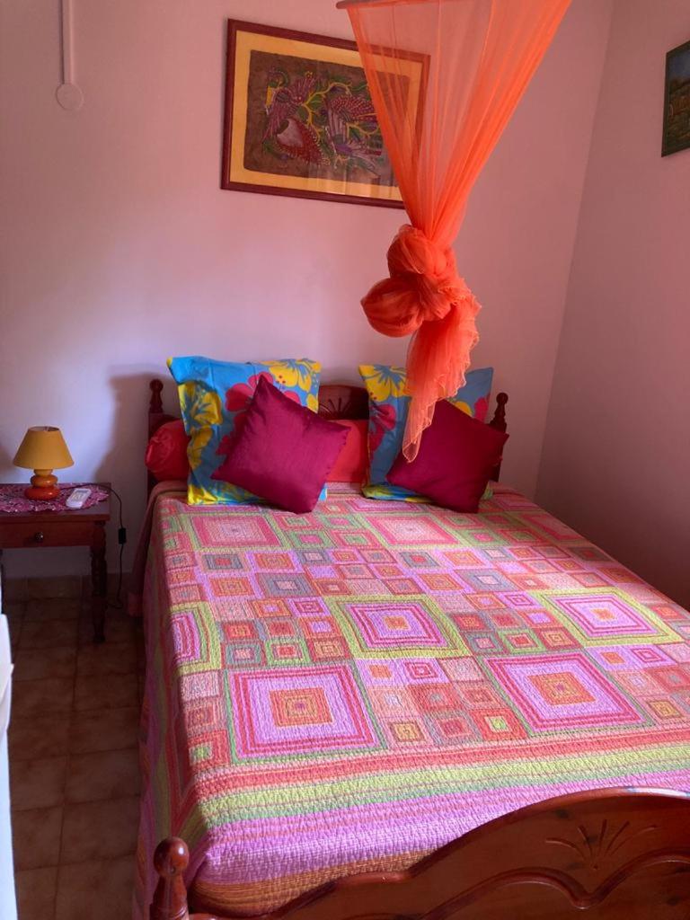 Double Room with Park View photo 1