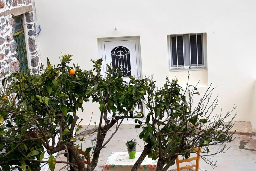 One-Bedroom House - Photo 21