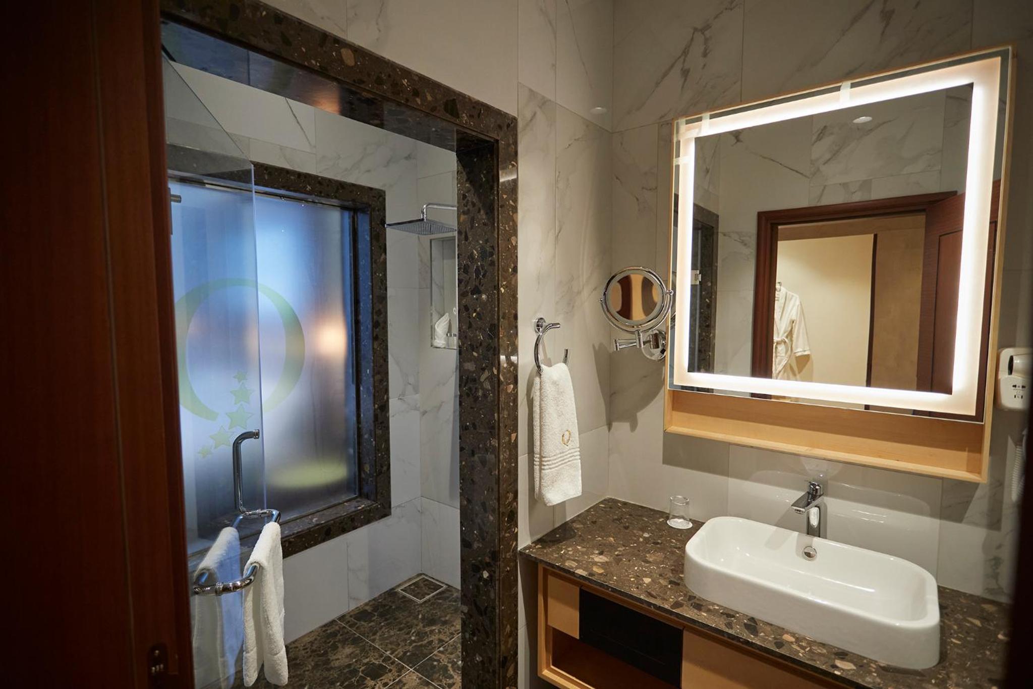 Deluxe Suite - Photo 10