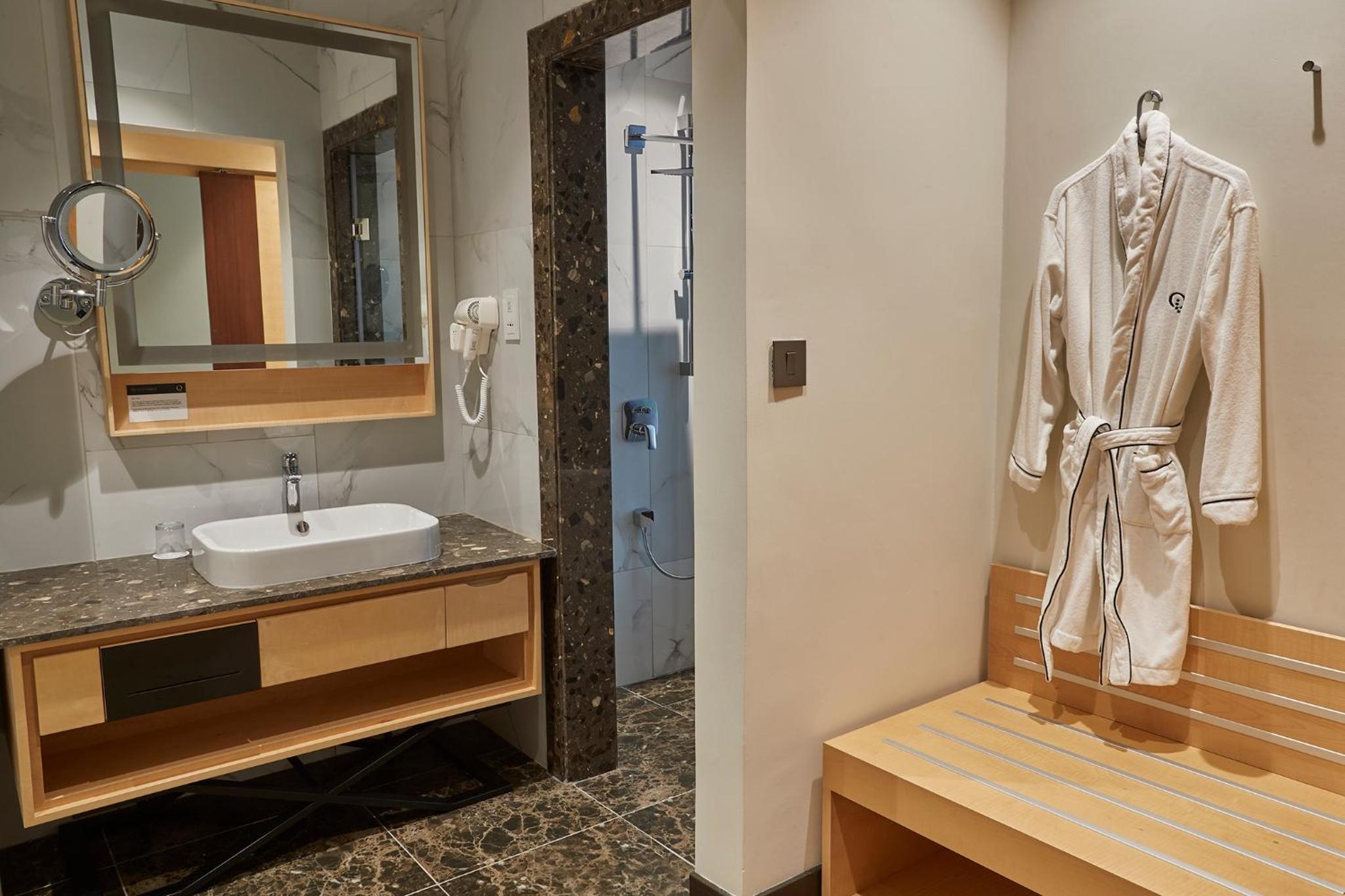 Deluxe Suite - Photo 11