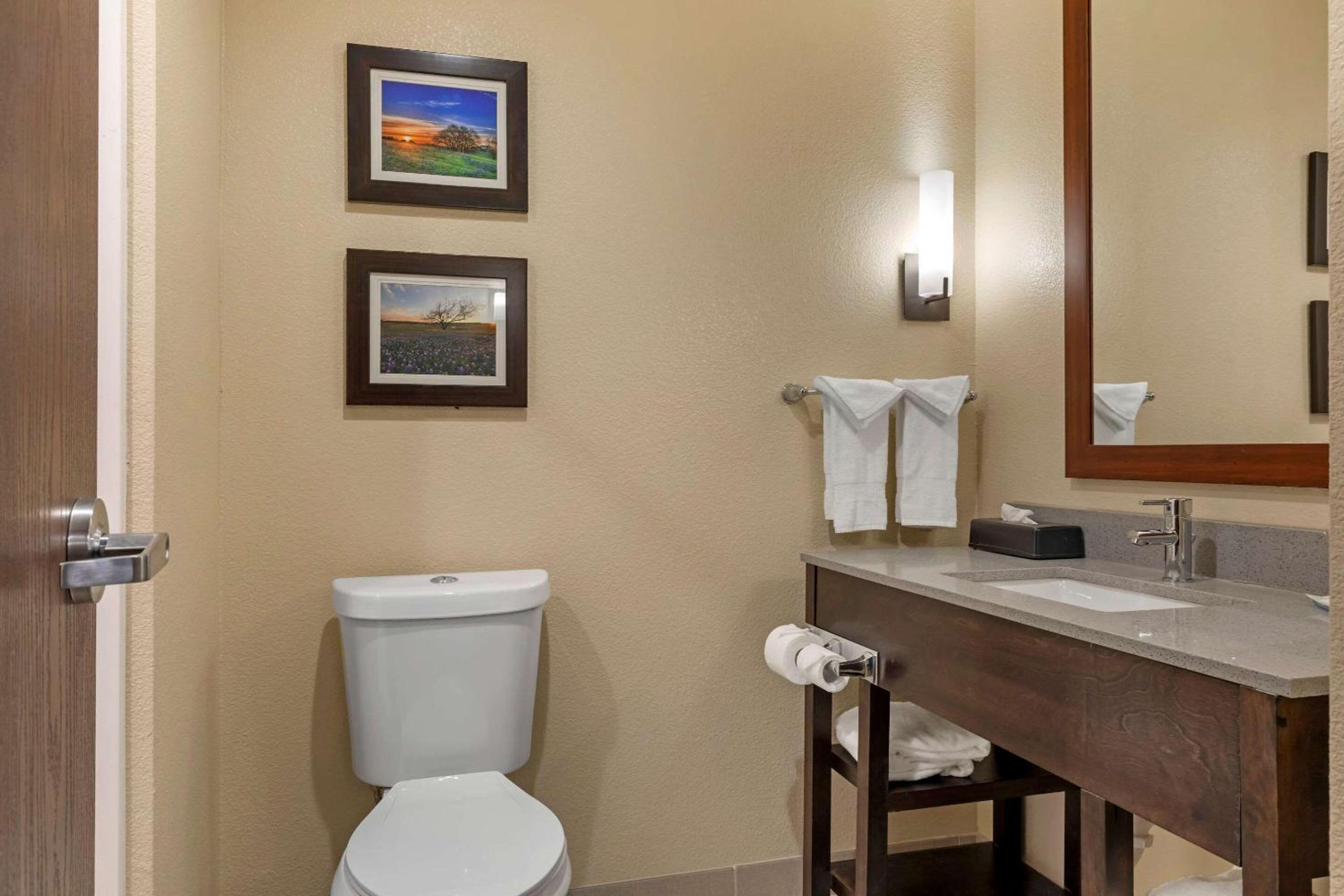King Room - Accessible/Non Smoking - Photo 3