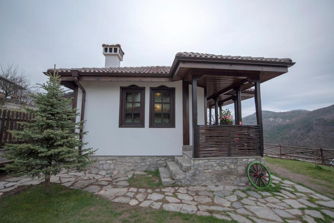 Deluxe Villa photo 2