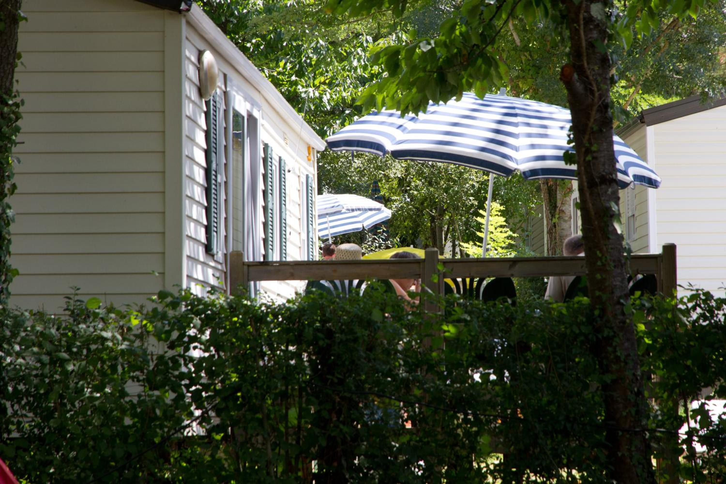 Mobile Home photo 3