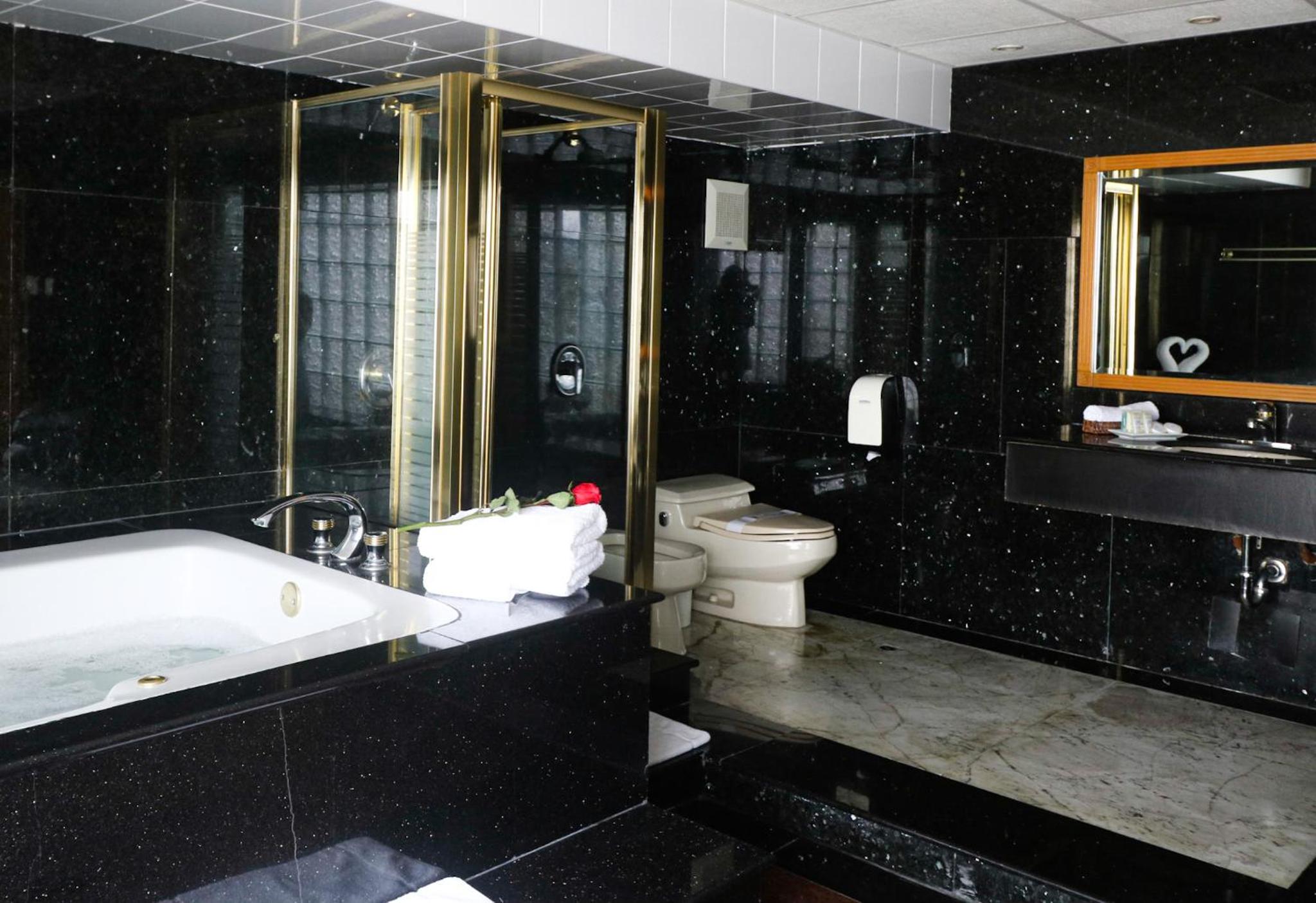 Presidential Suite - Photo 4