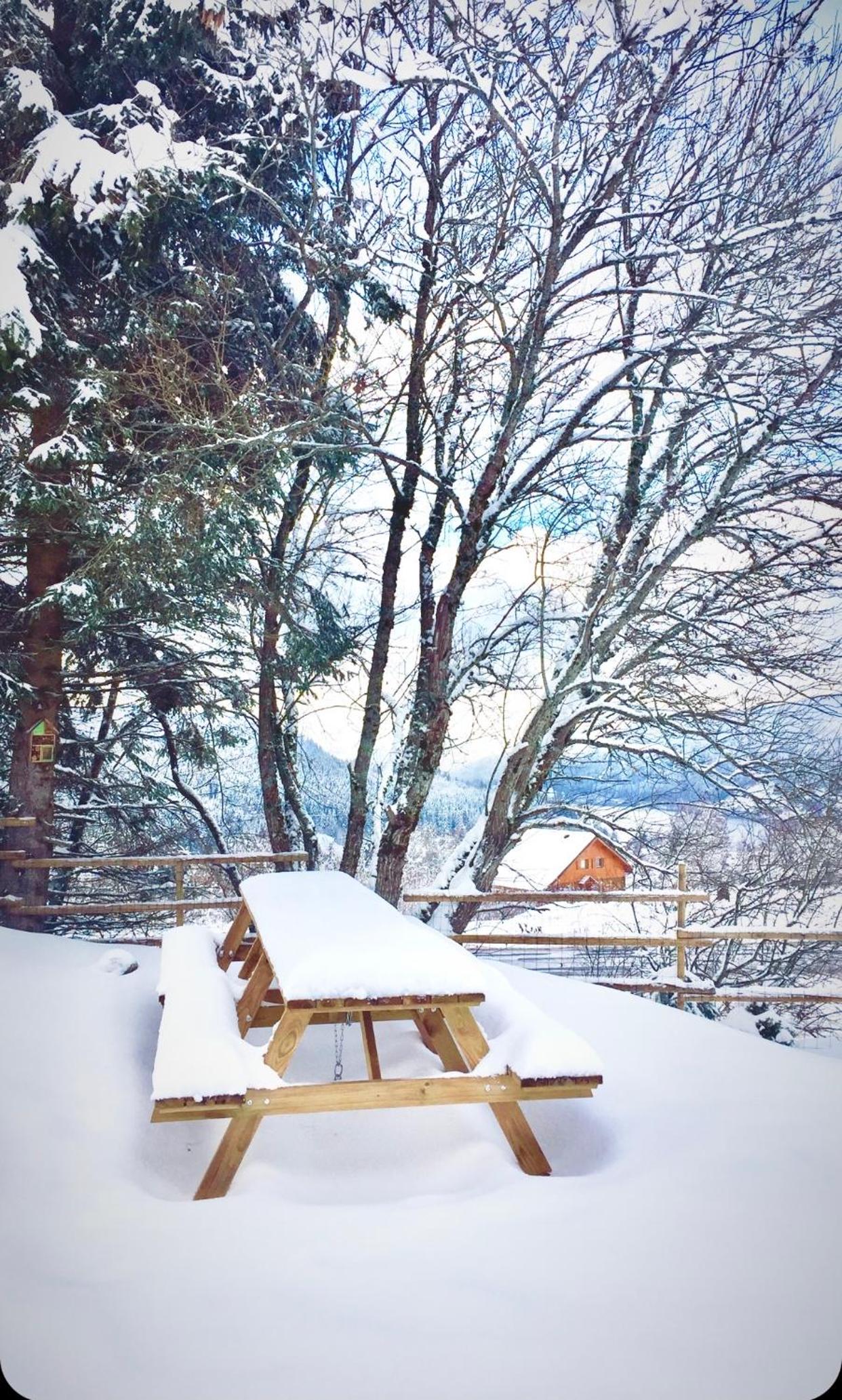 Three-Bedroom Chalet photo 1