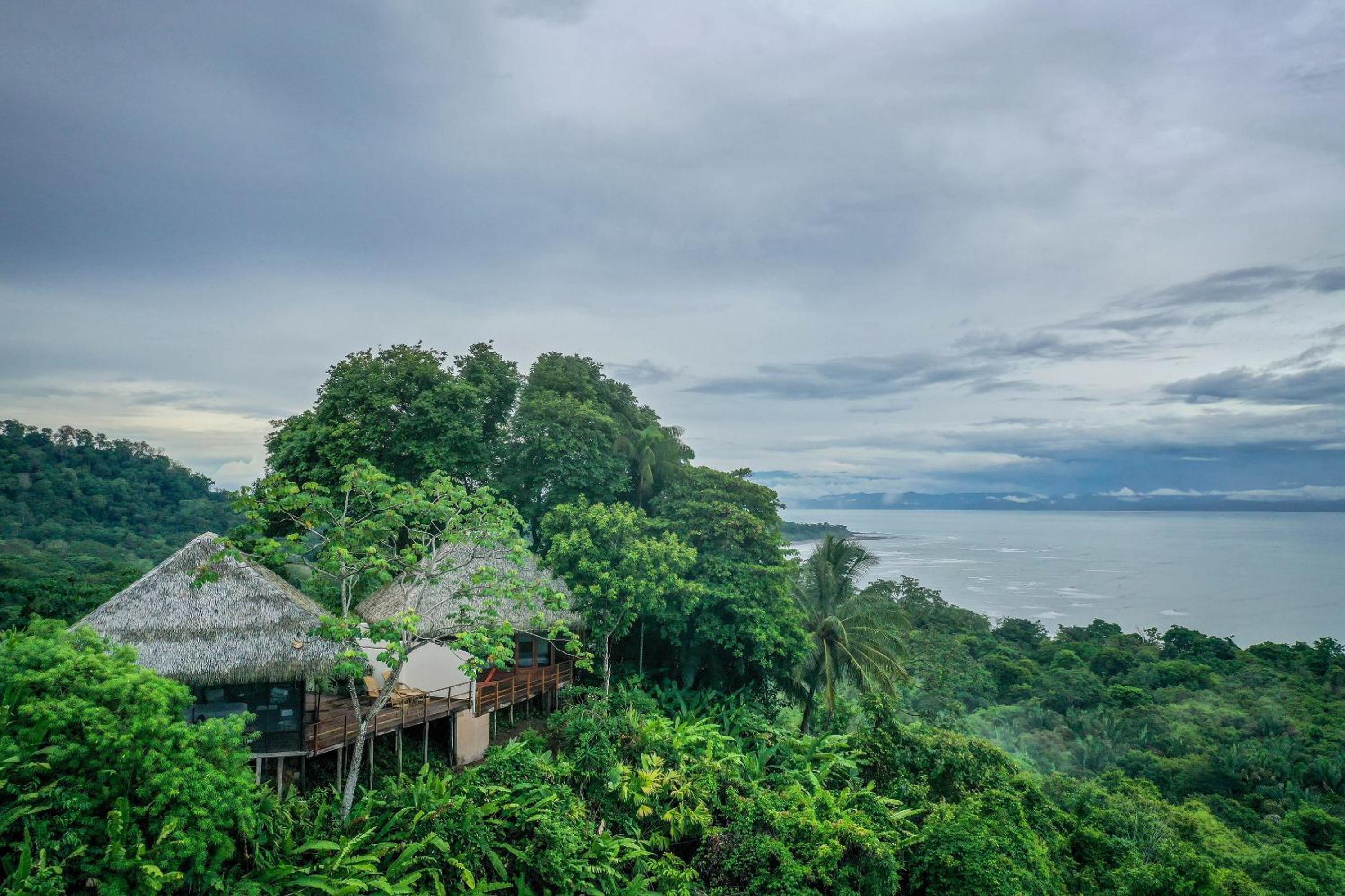 Deluxe Bungalow Ocean View photo 2
