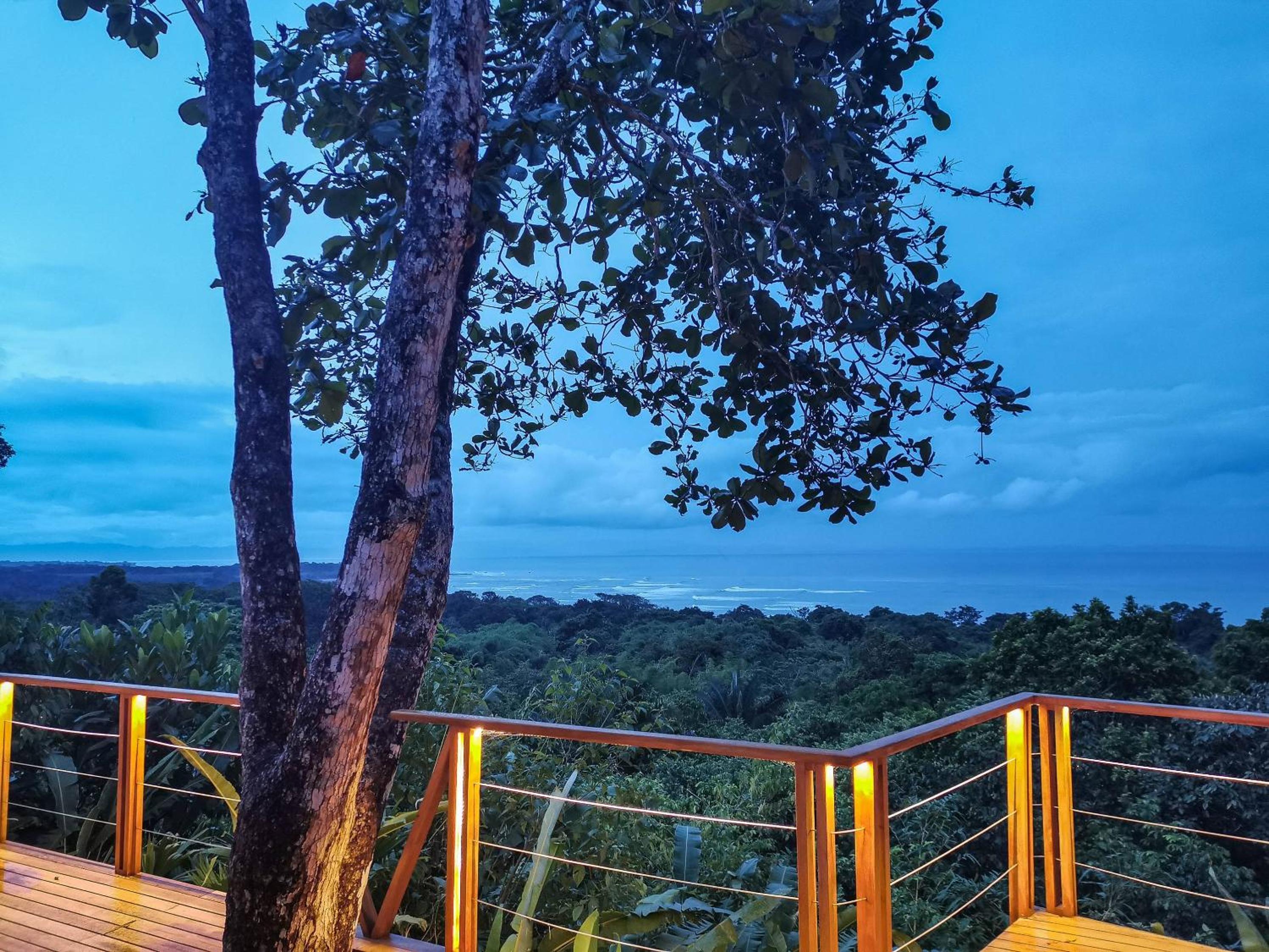 Premier Villas - Photo 4