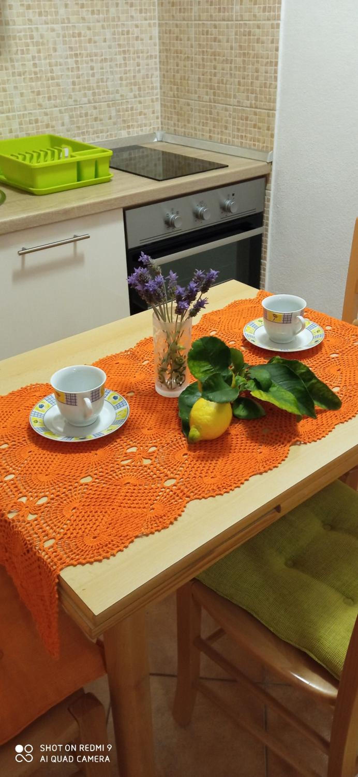 Studio with Terrace photo 2