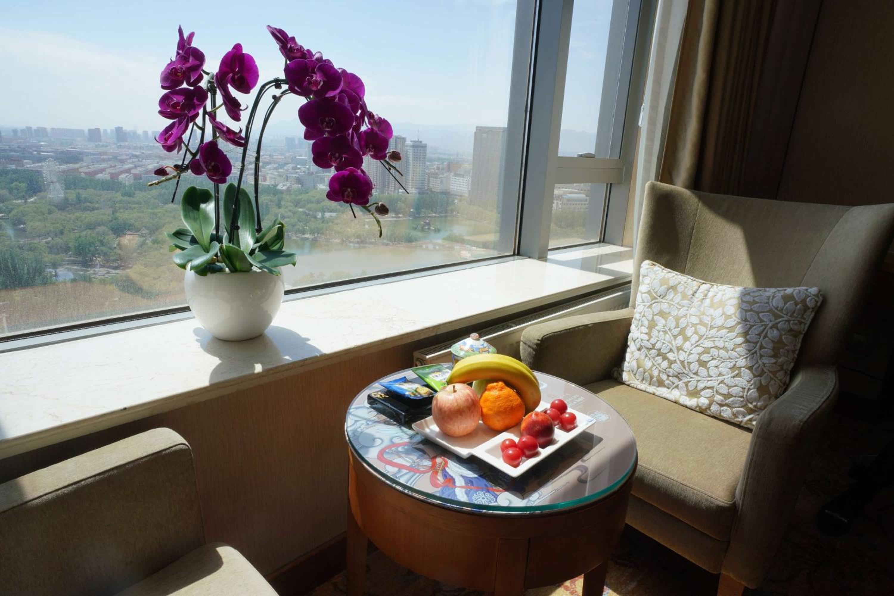 Deluxe Twin Room photo 3