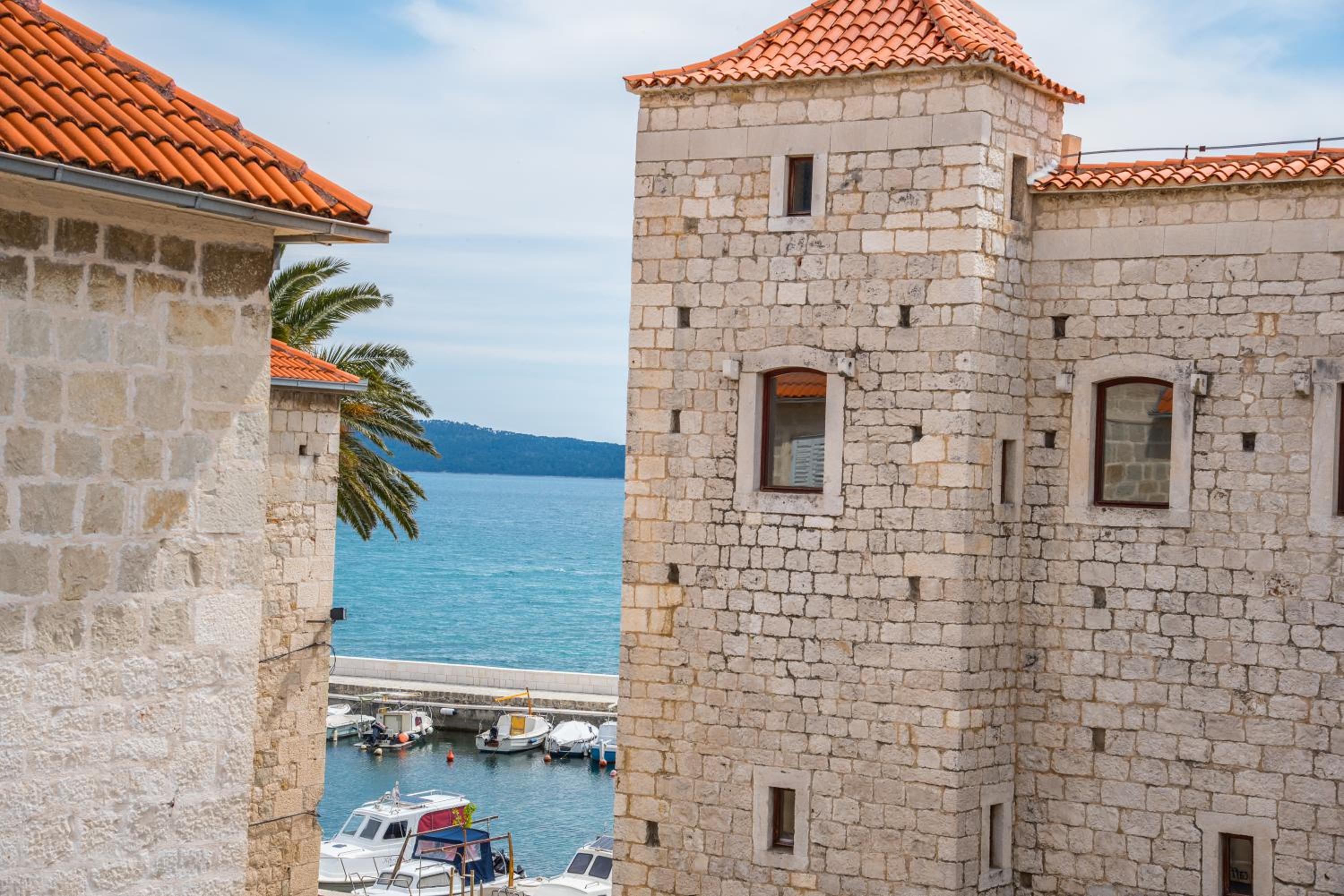 Villa with Sea View photo 3