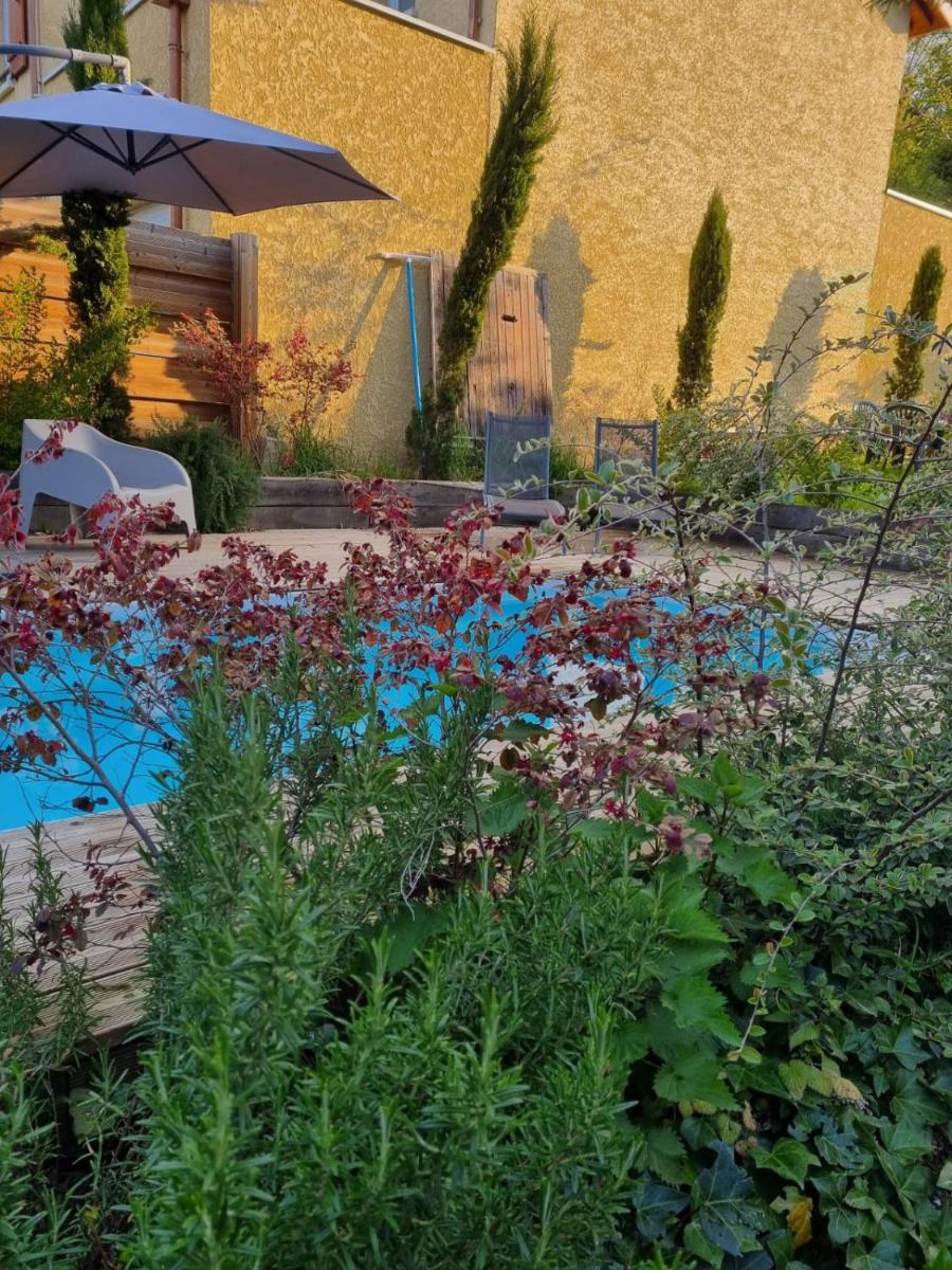 Studio with Garden View