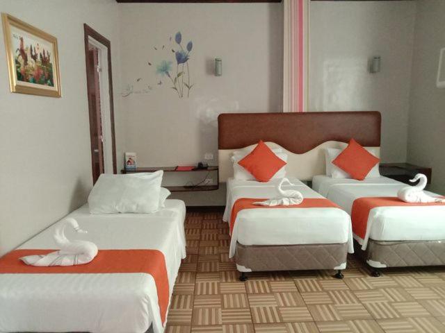 Deluxe Suite - Photo 9