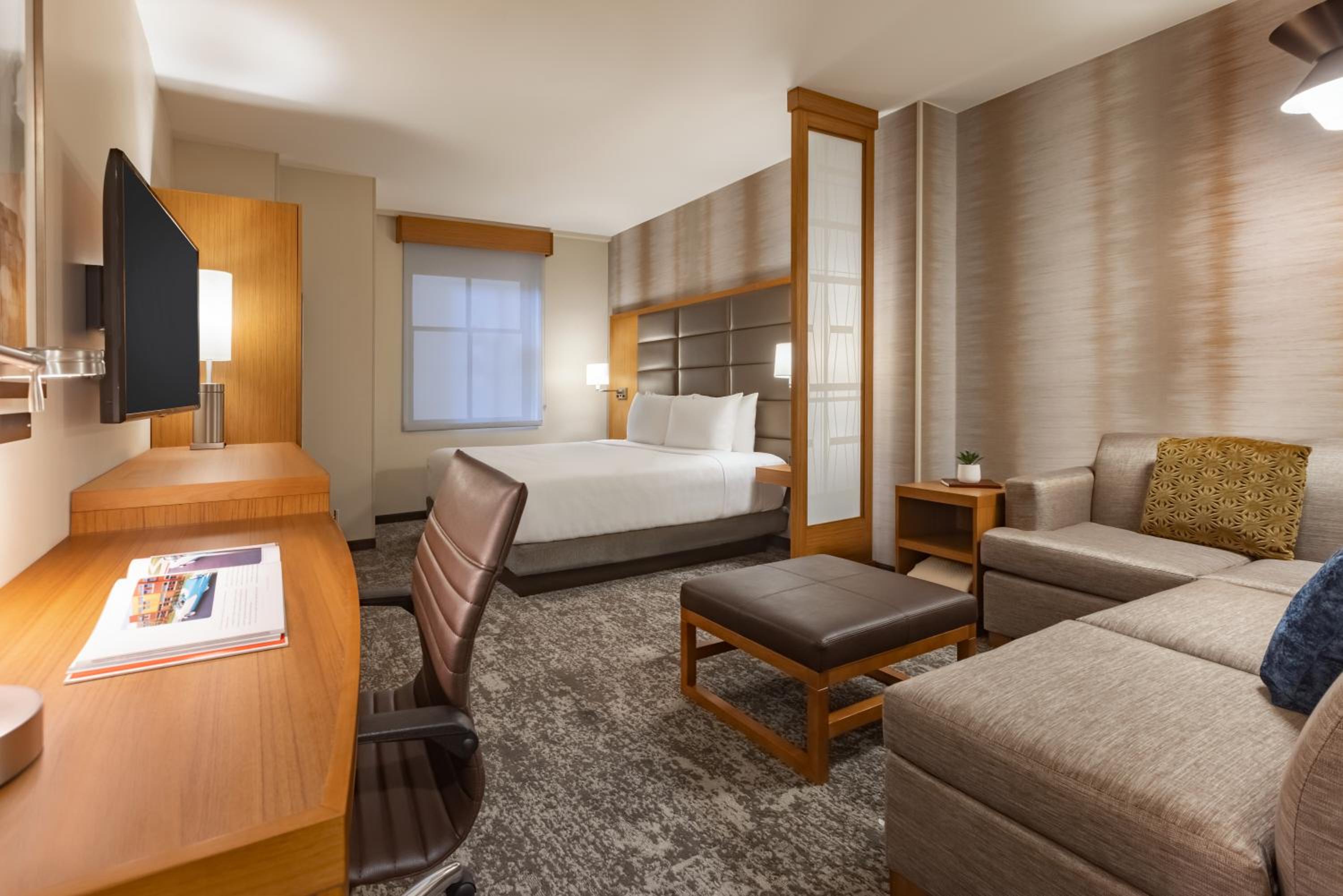 Specialty King Room with Sofa Bed - Photo 4