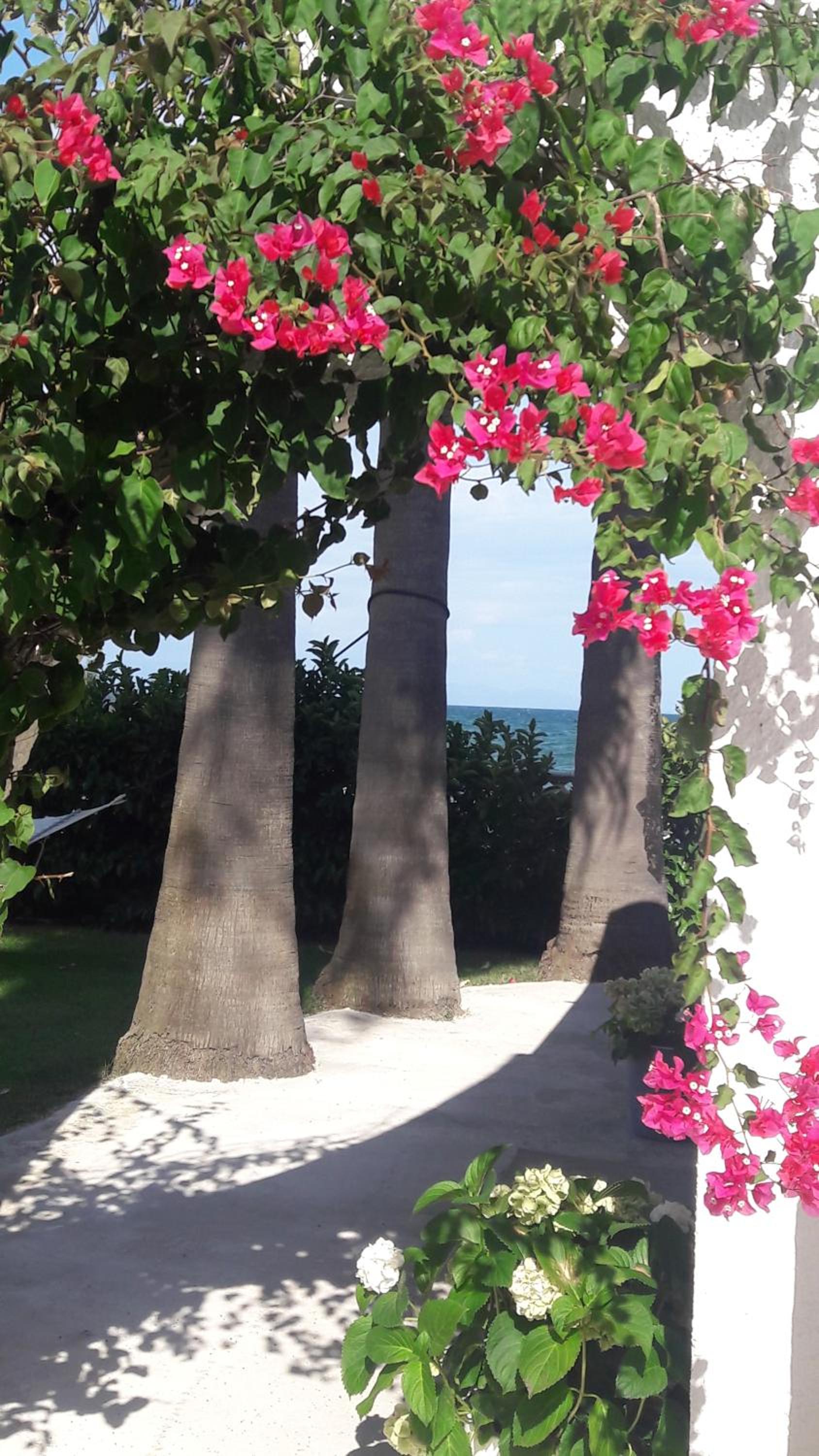 Deluxe Double Room with Sea View - Photo 15