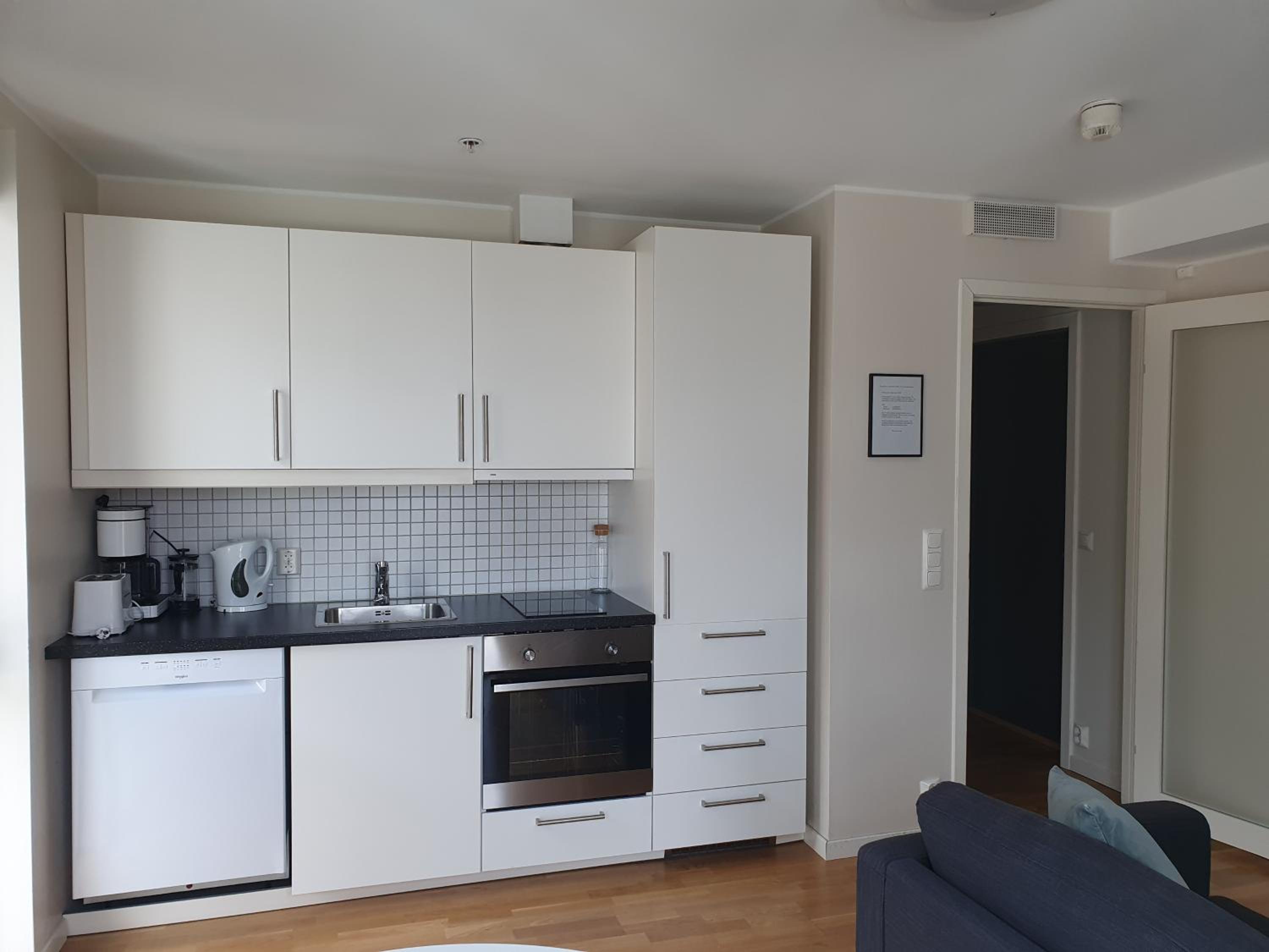 One-Bedroom Apartment photo 2