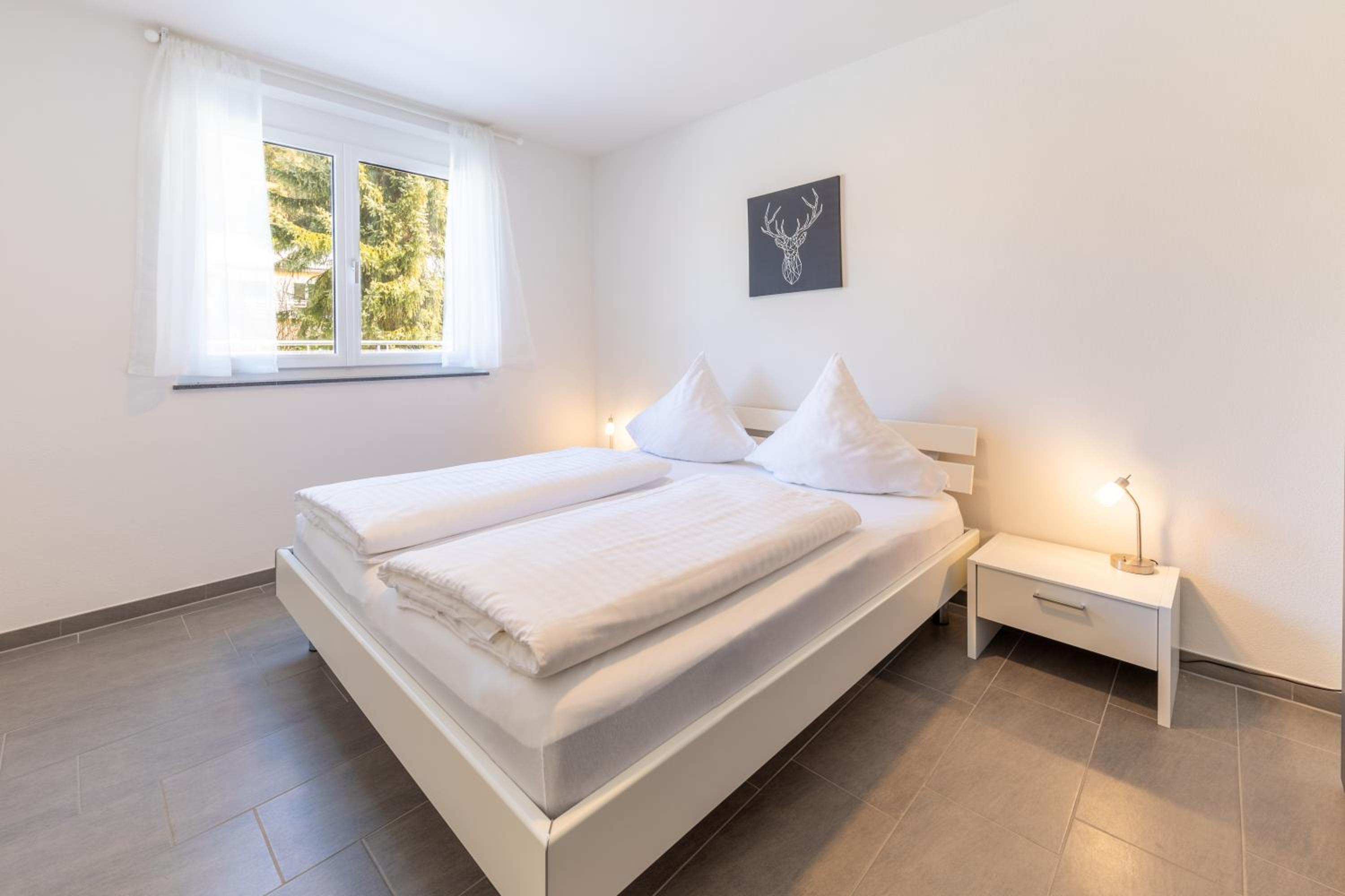 One-Bedroom Apartment- T3 photo 2