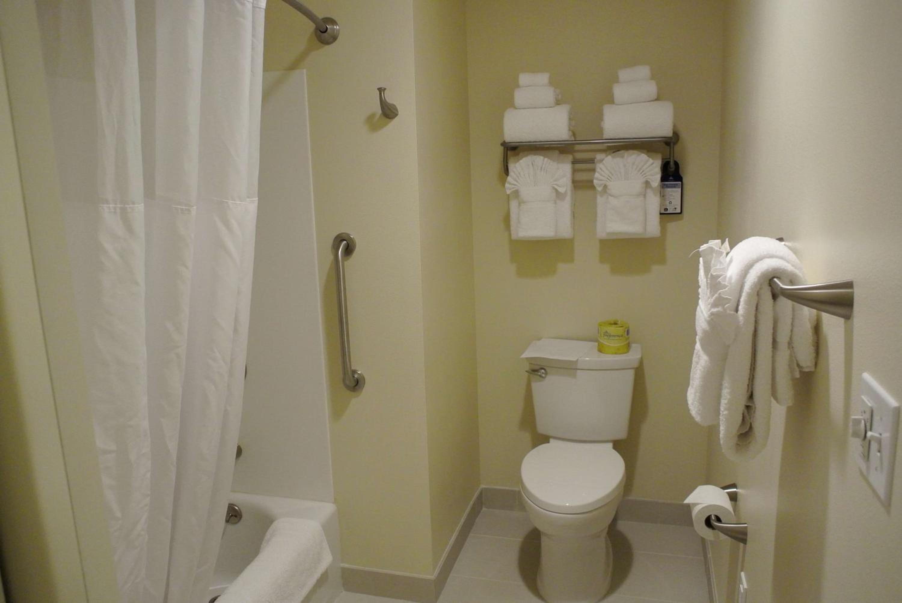 Queen Room with Roll-in Shower - Non-Smoking/Mobility Access - Photo 4