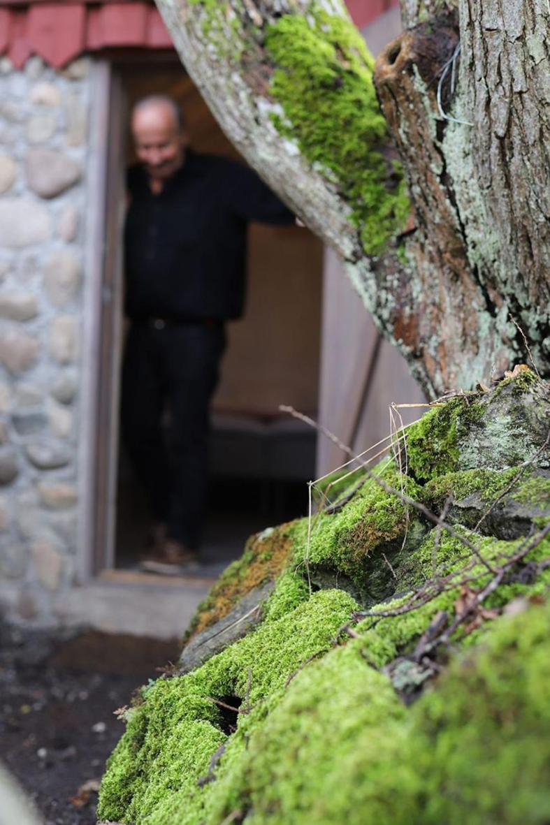 Small cottage with toilet in separate building photo 2