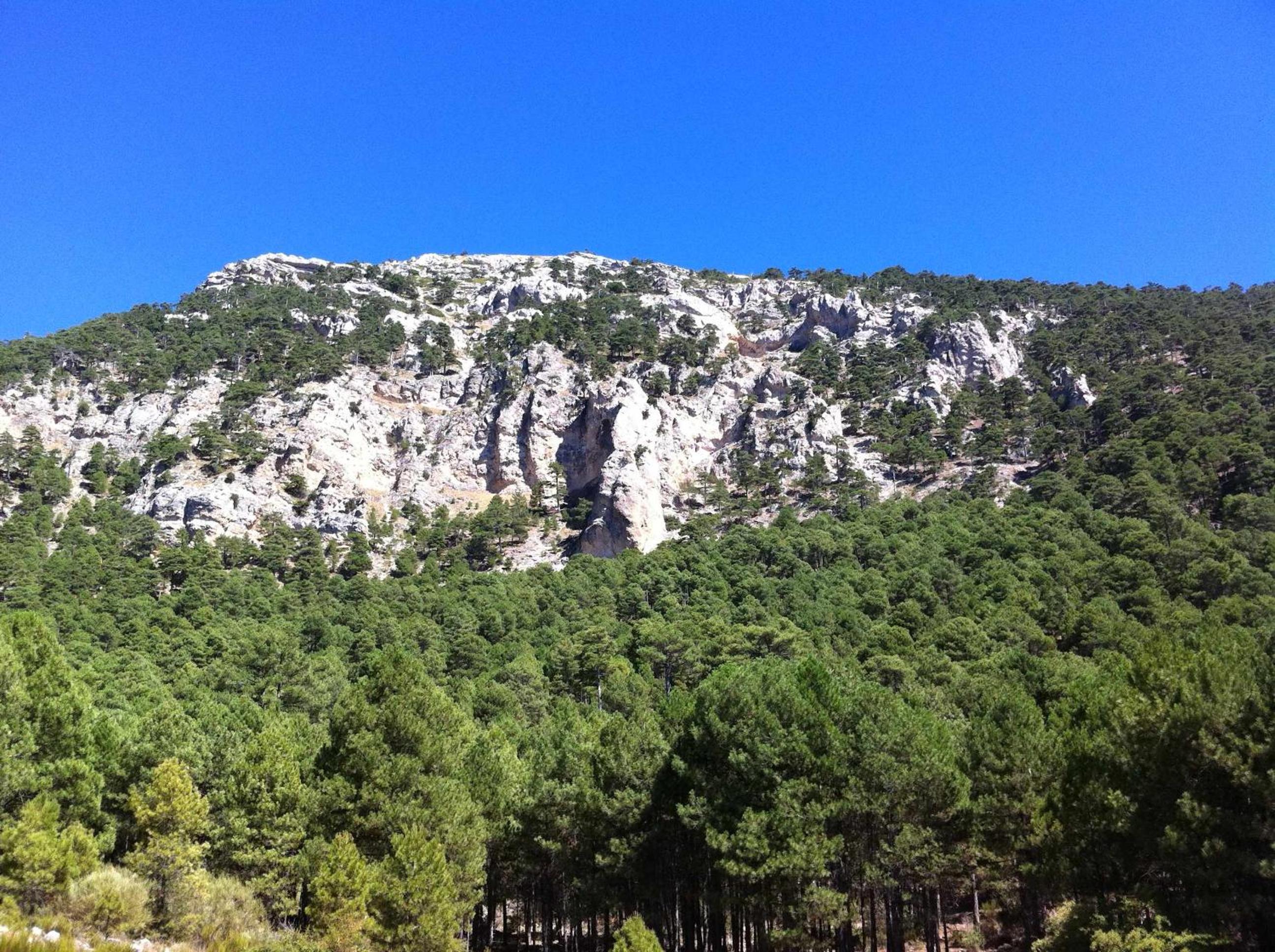 Cave (4 Adults) - Photo 9
