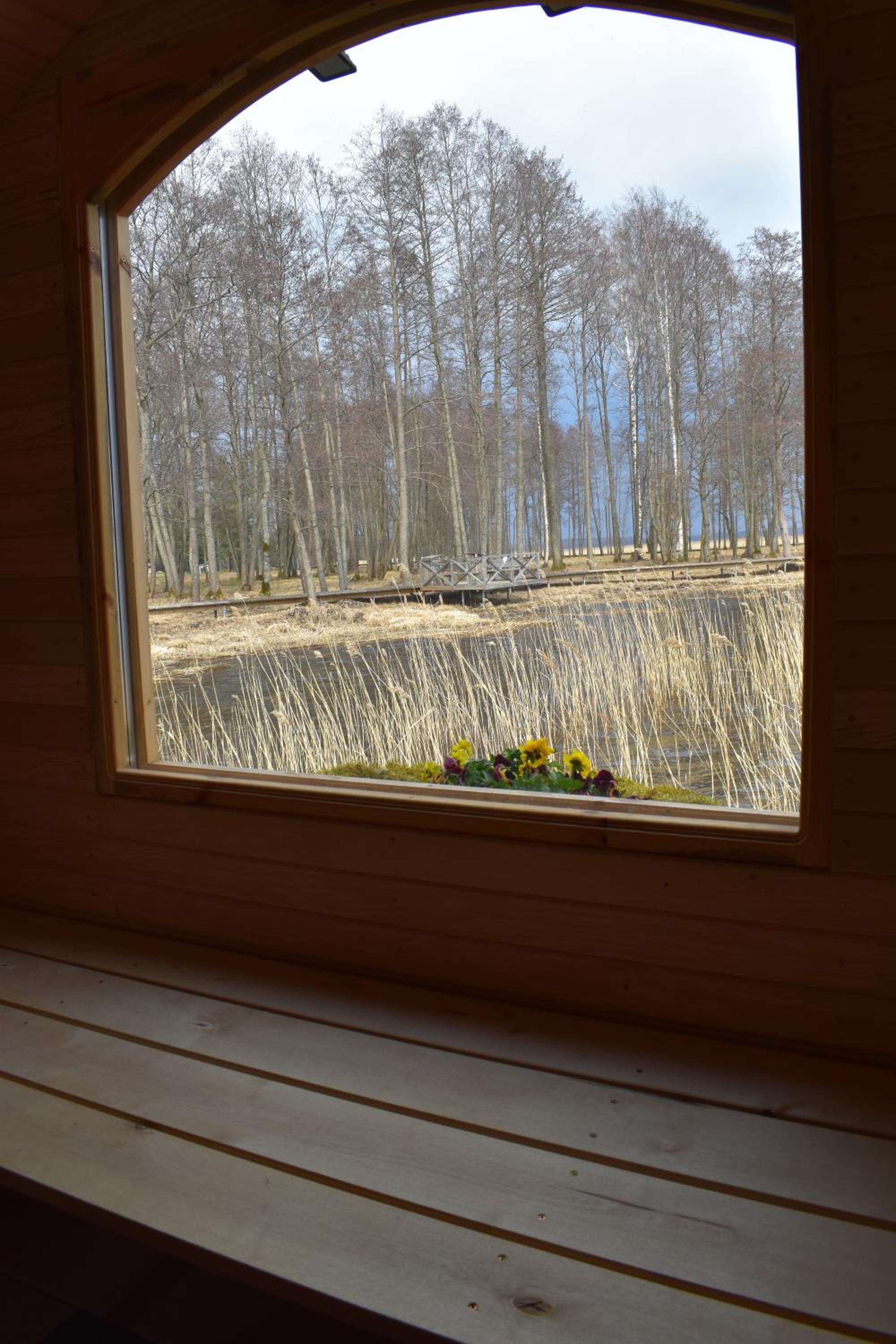 Mobile Home - Photo 6