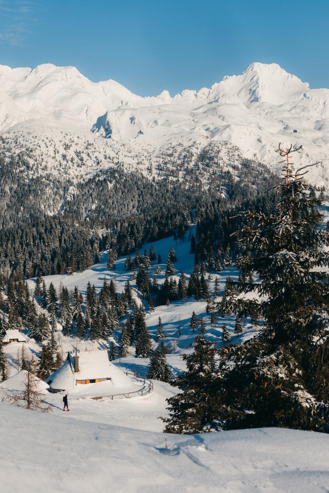 Two-Bedroom Chalet - Photo 95