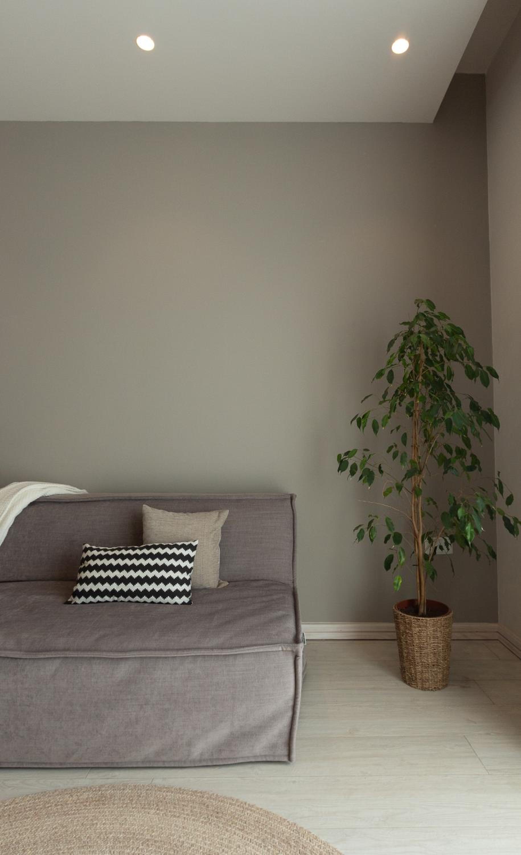 Family Room with Terrace - Photo 6