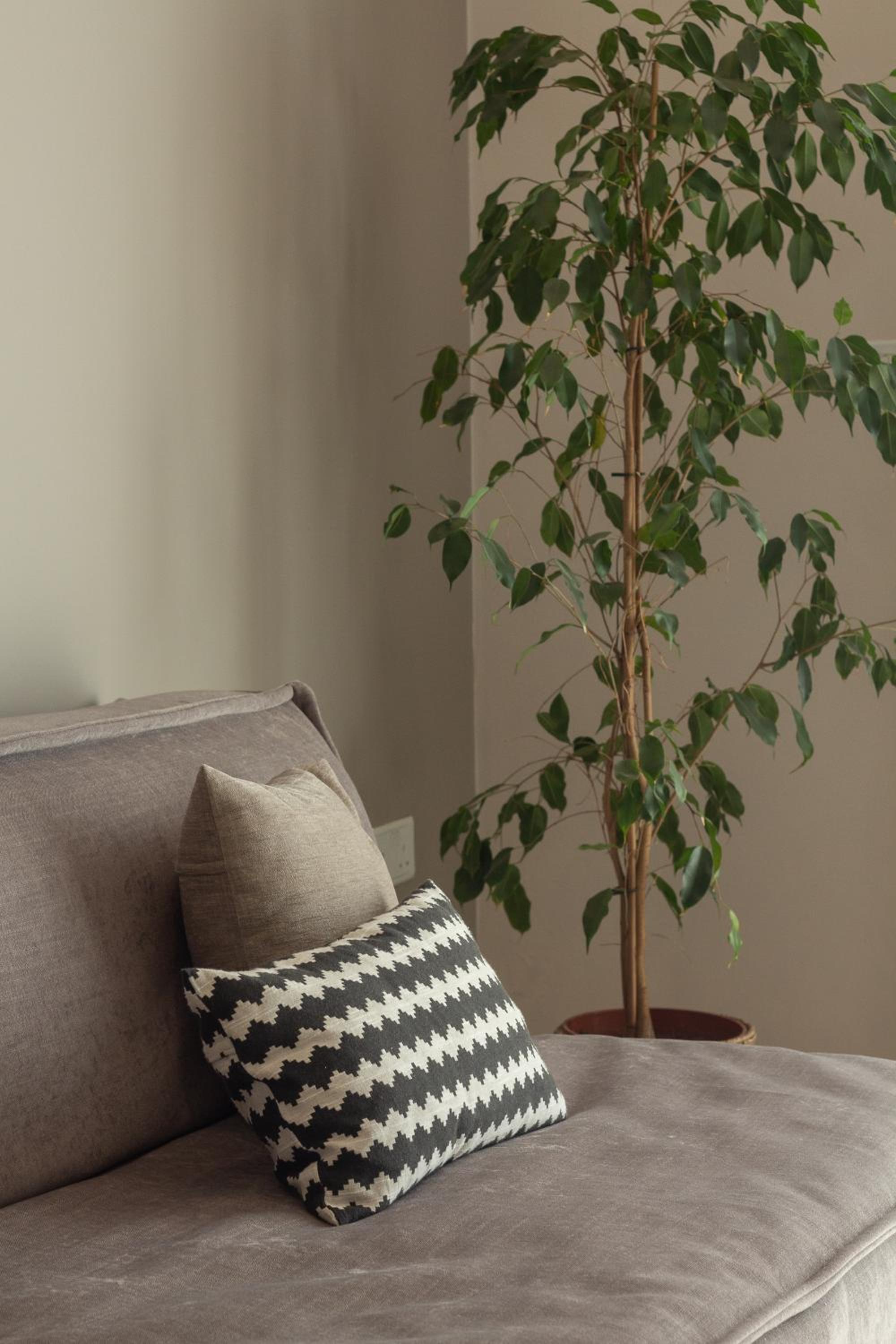 Family Room with Terrace - Photo 8