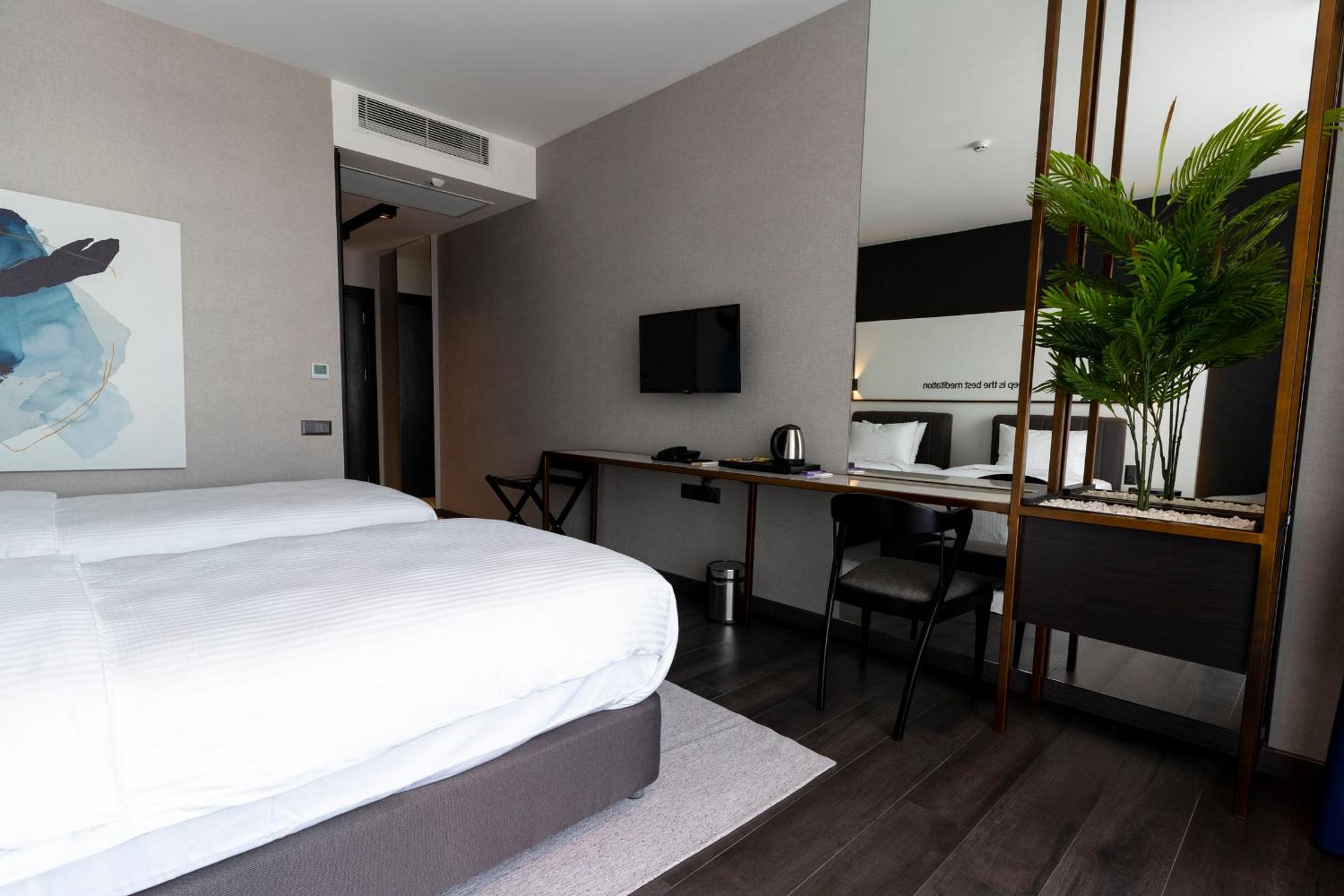 Deluxe Twin Room with Balcony - Photo 6